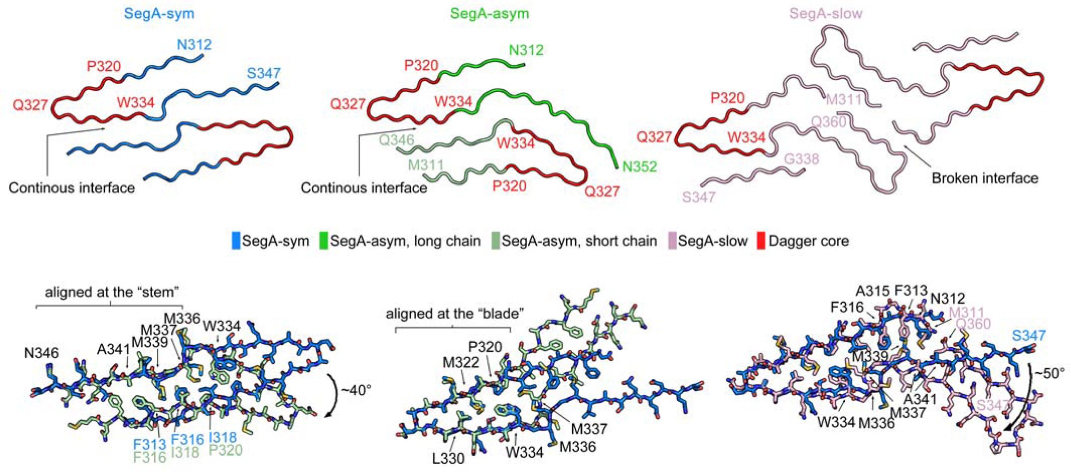 Supplementary Figure 5