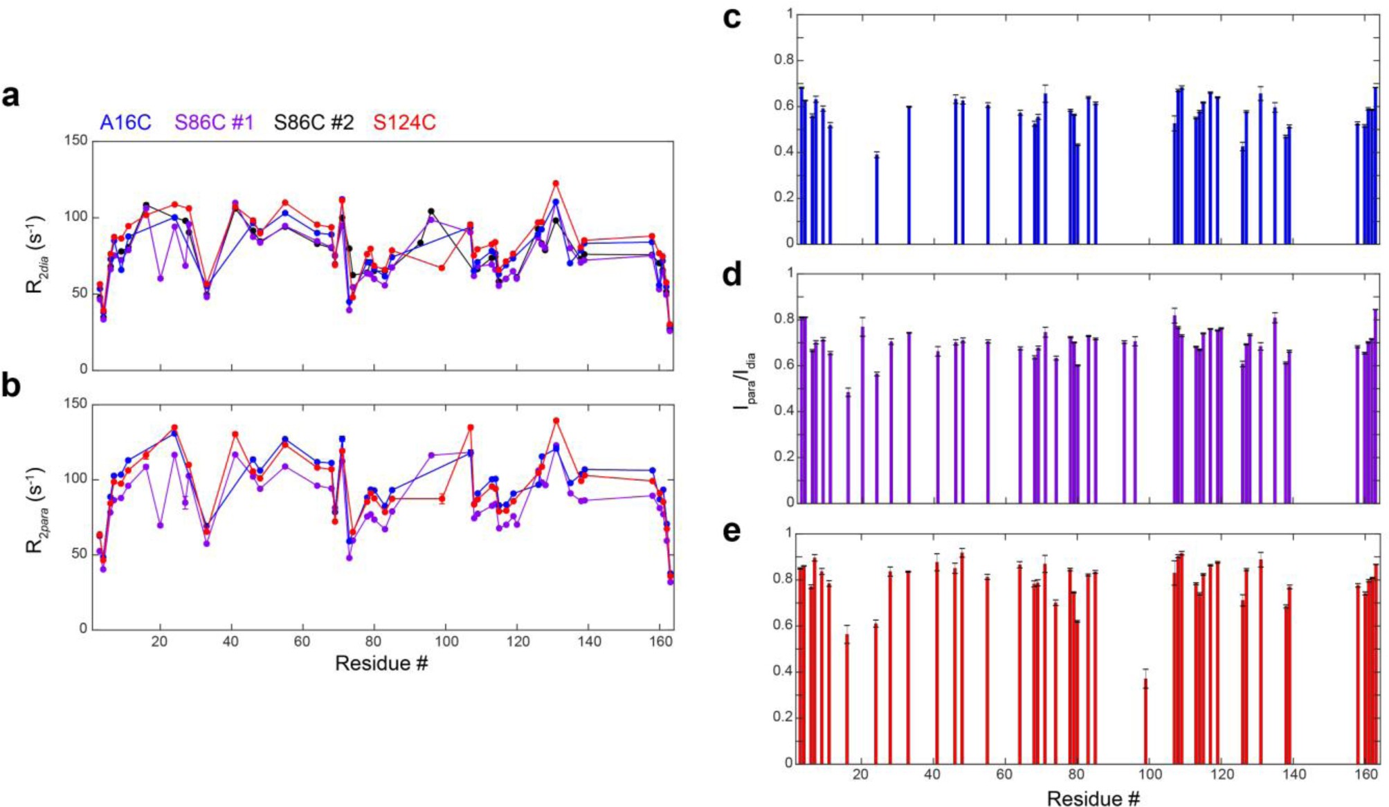 Supplementary Figure 4