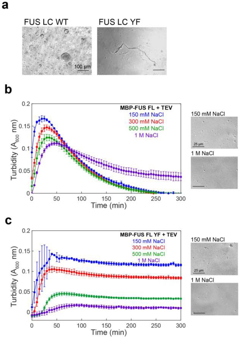 Supplementary Figure 7