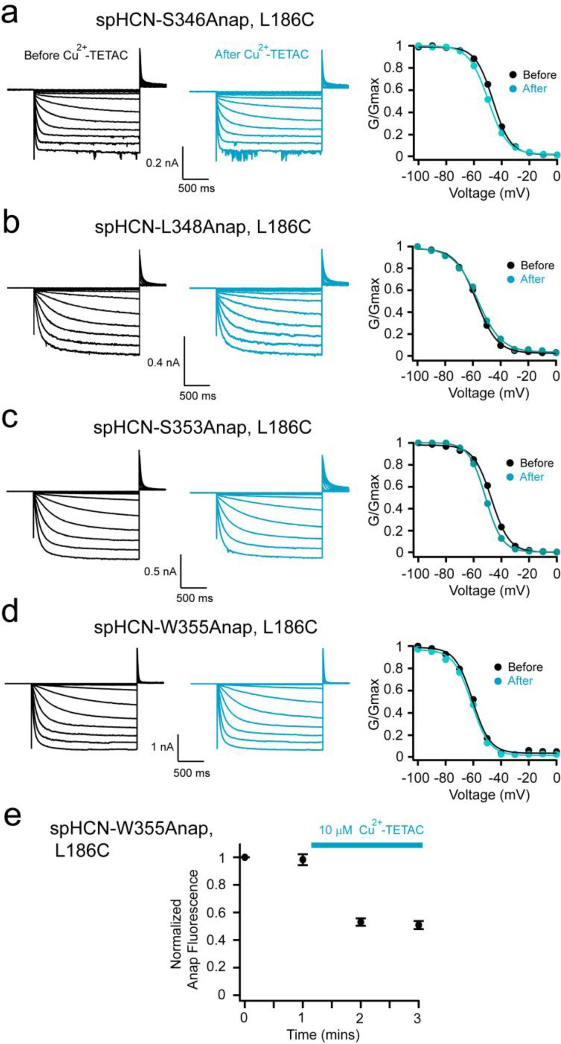 Supplementary Figure 5