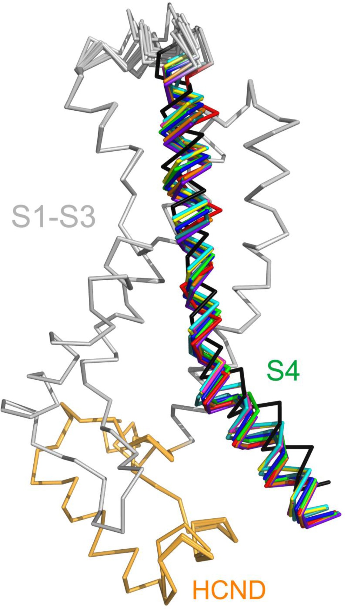 Supplementary Figure 7