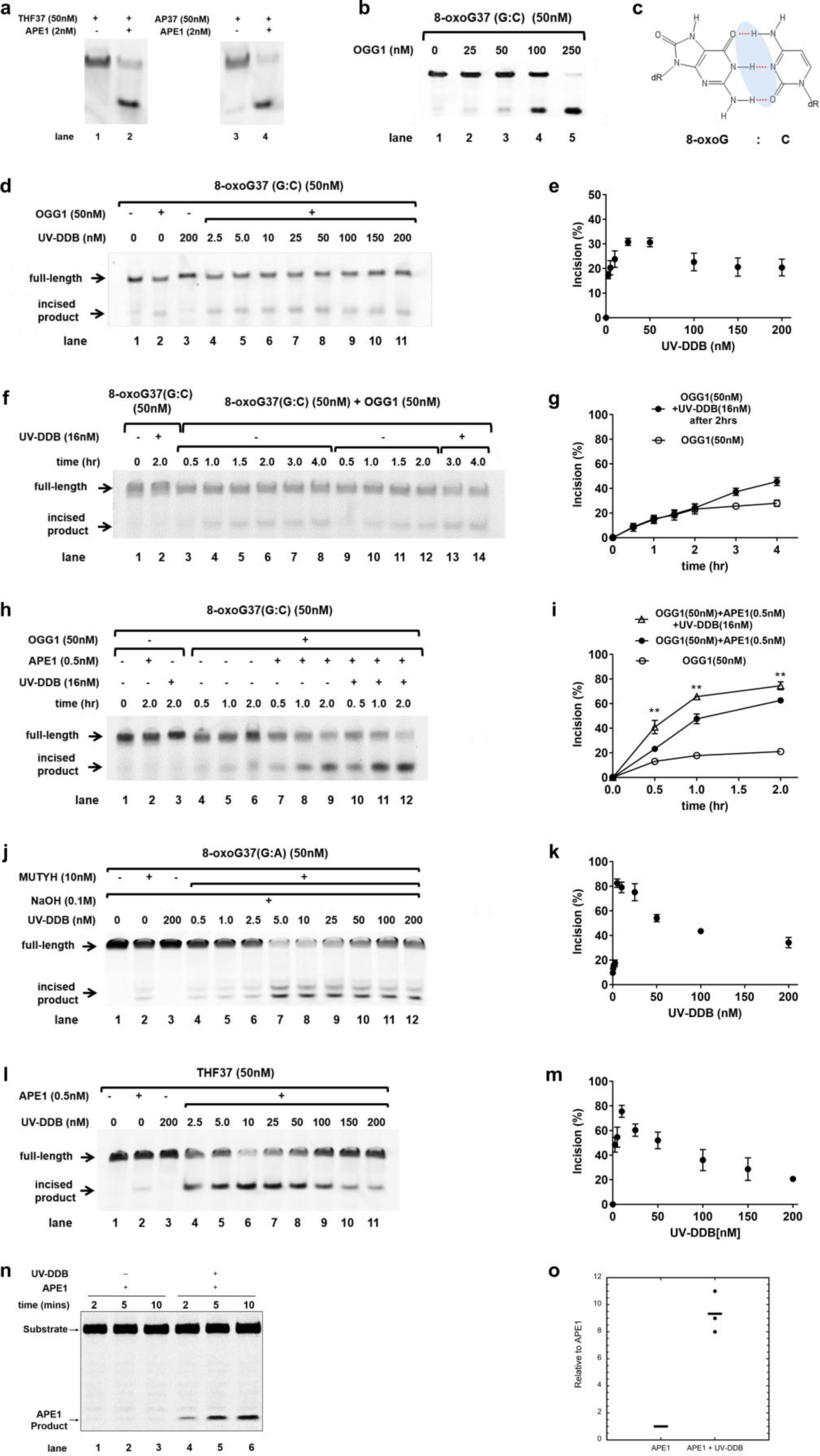 Supplementary Figure 2