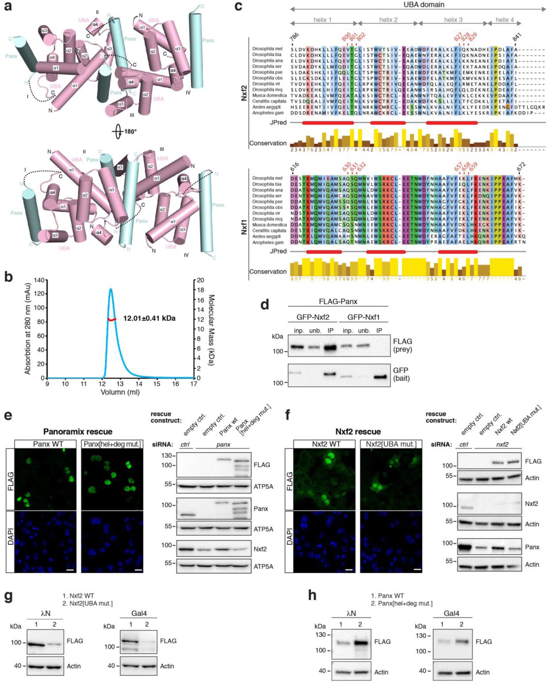 Supplementary Figure 6