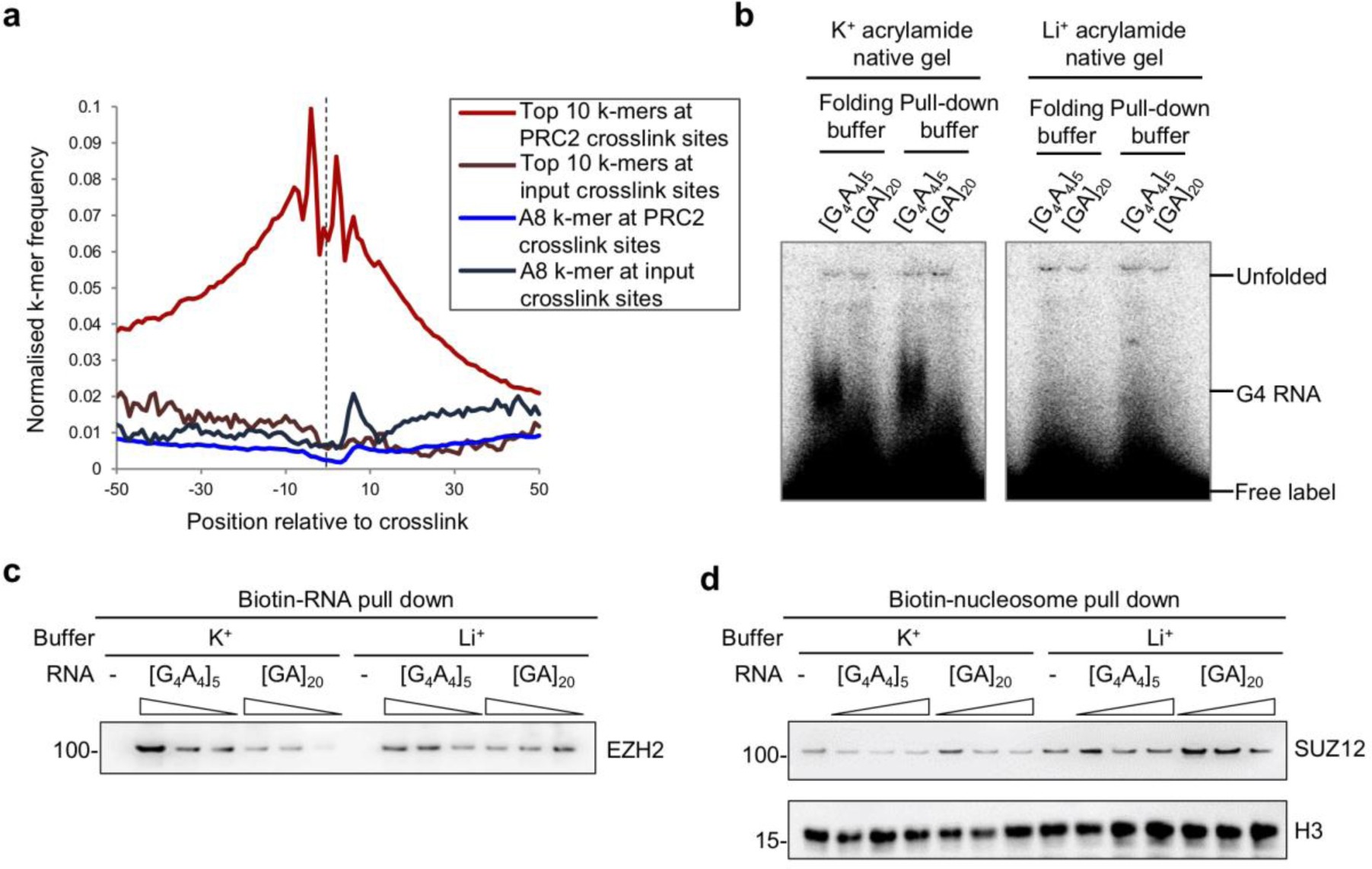 Supplementary Figure 1: Preferential binding of PRC2 to G-tract RNA in conditions favoring G4 formation.