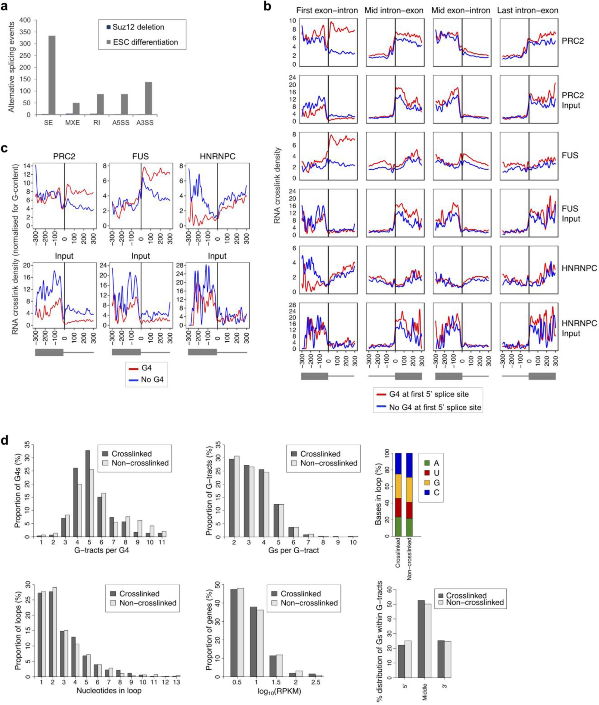 Supplementary Figure 2: PRC2 binds nascent RNA at predicted G4-forming sequences at the 5′ end of the first intron.