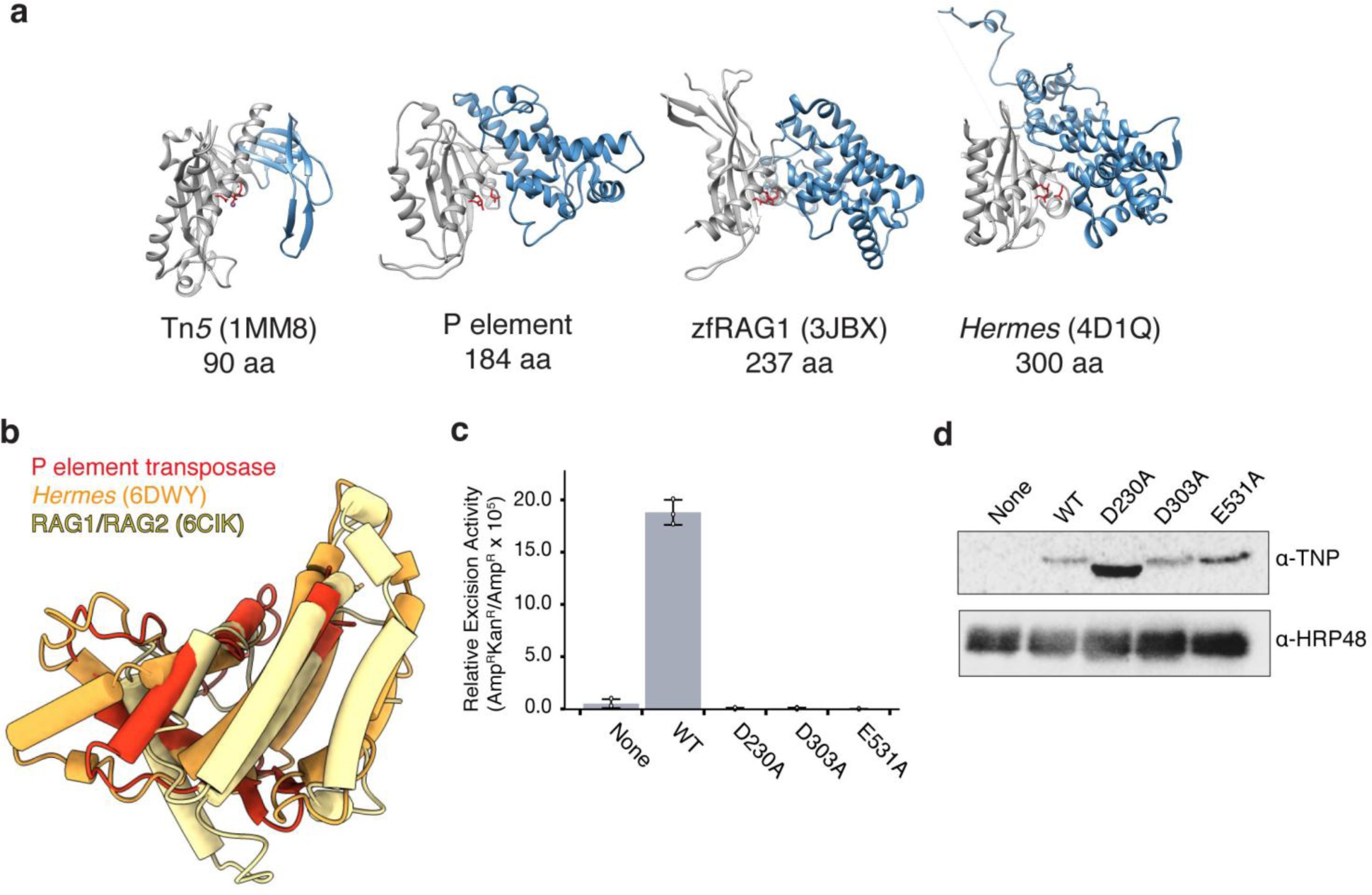 Supplementary Figure 4