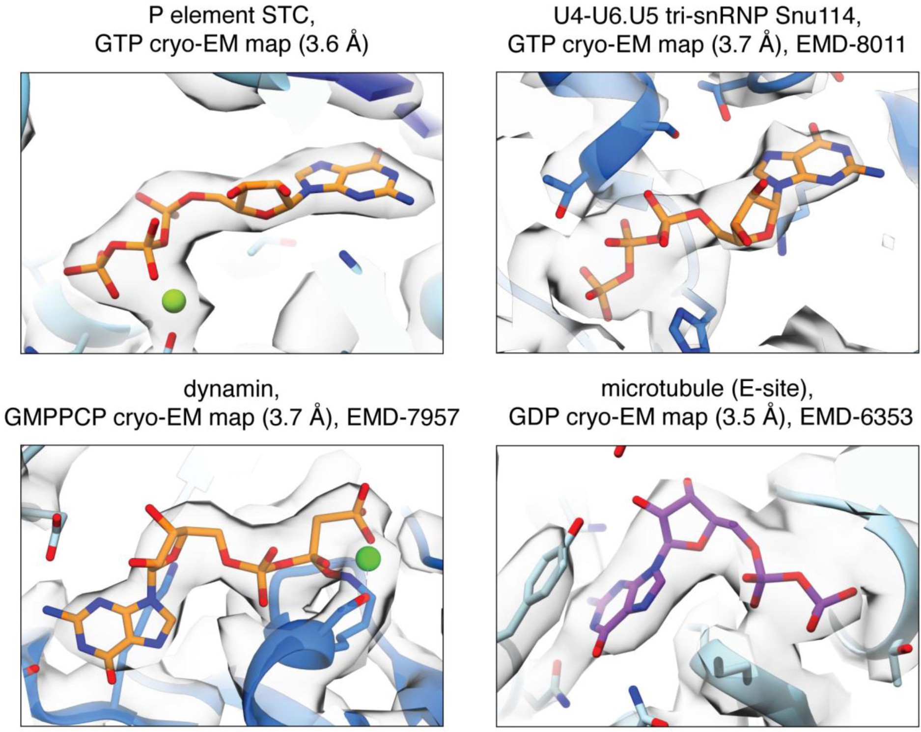Supplementary Figure 7