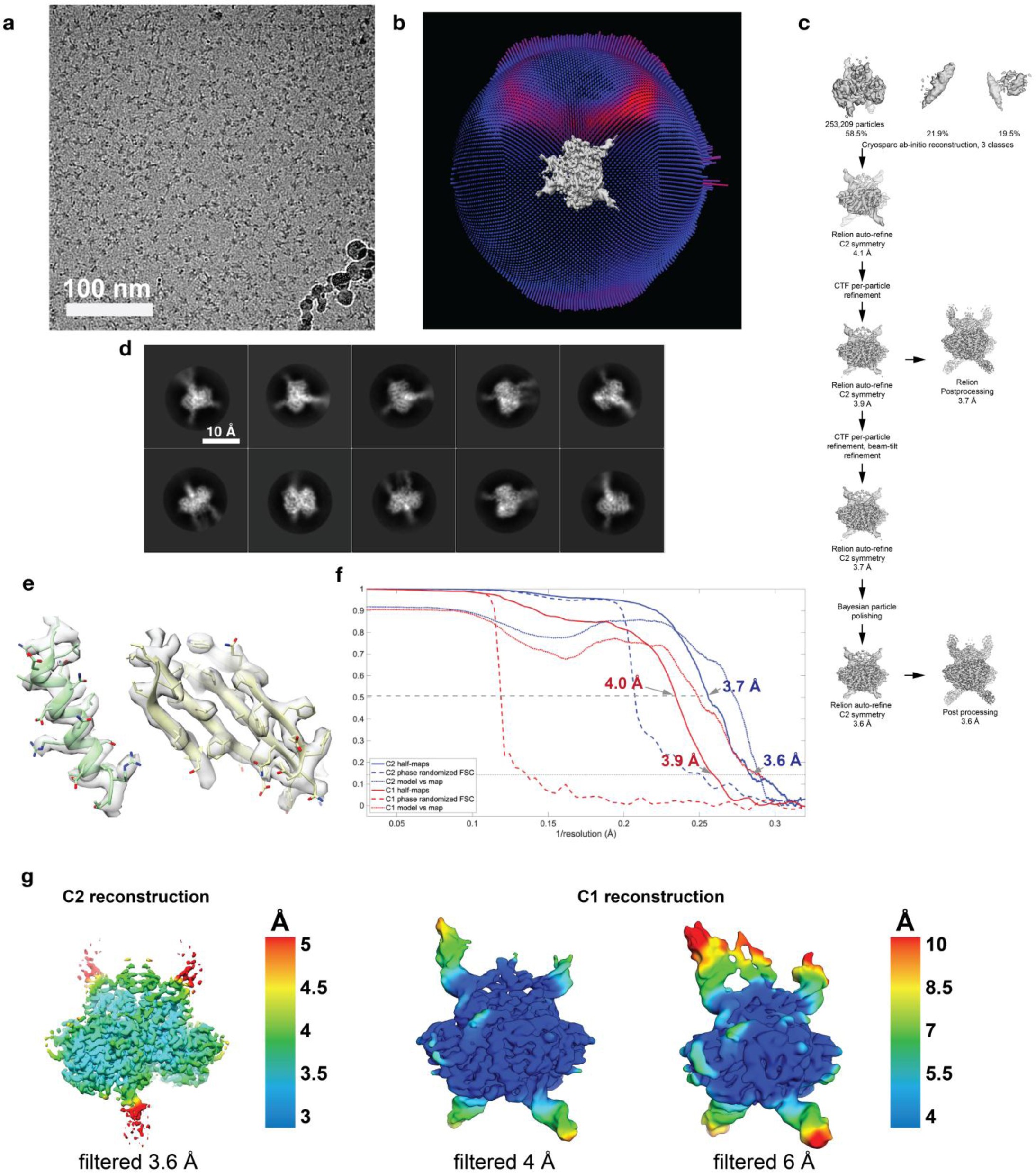 Supplementary Figure 2