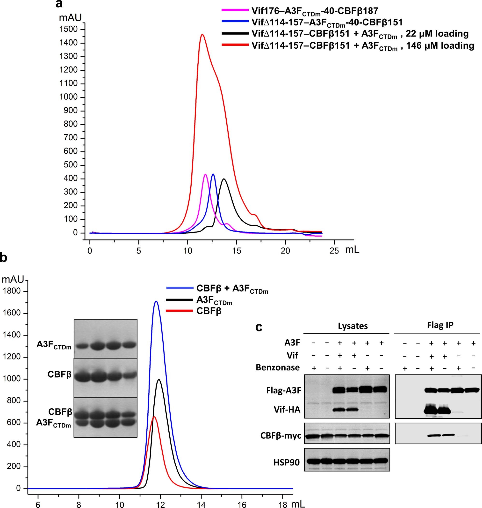 Extended Data Fig. 1: Biochemical and cellular characterizations of various Vif–CBFβ–A3FCTDm assemblies and the A3FCTDm-CBFβ interaction.