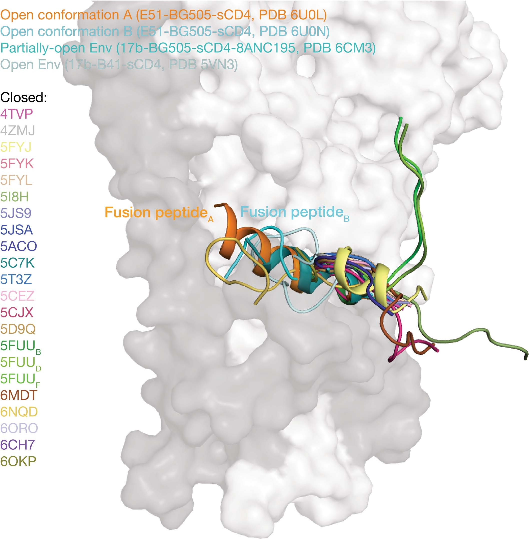 Extended Data Fig. 5