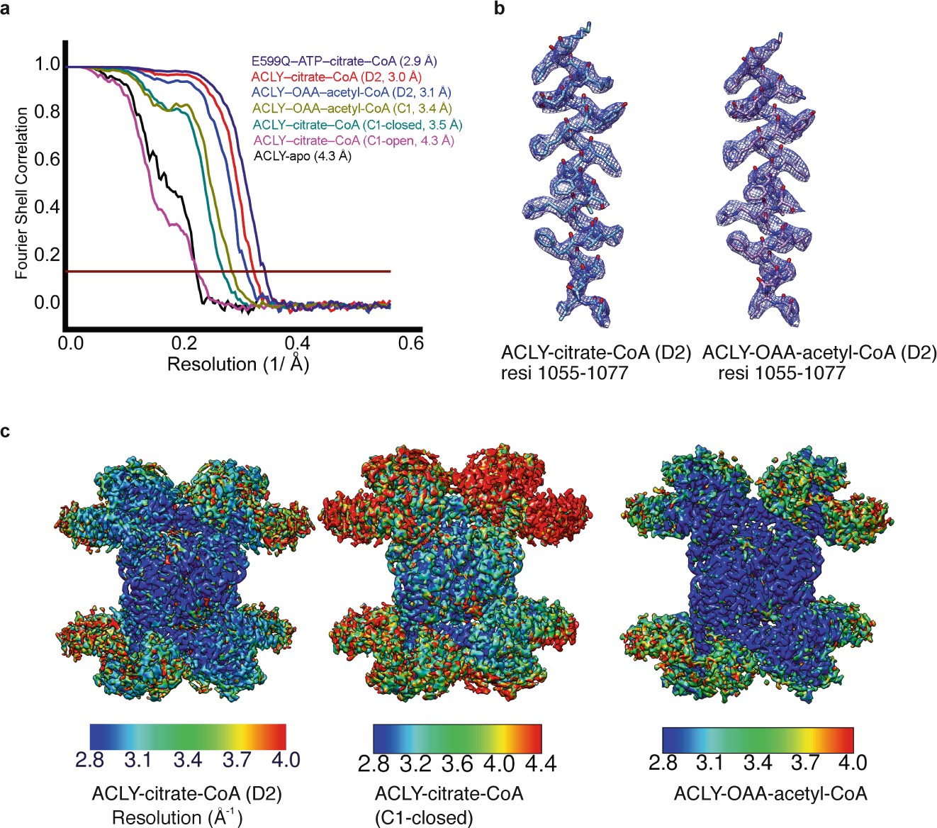 Extended Data Fig. 4