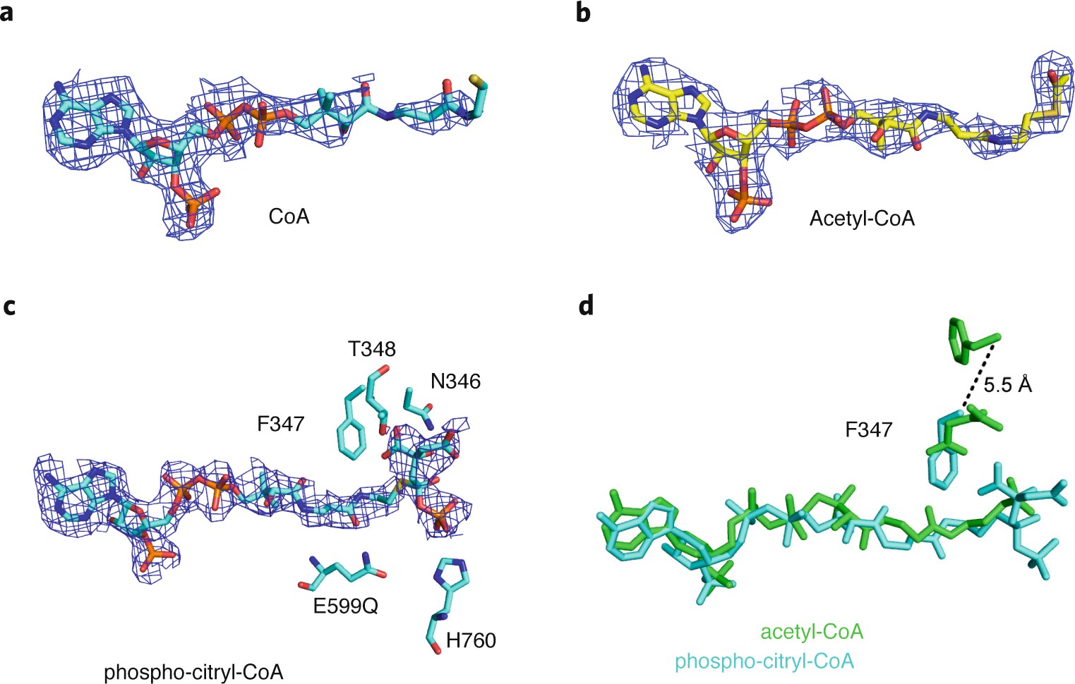 Extended Data Fig. 7