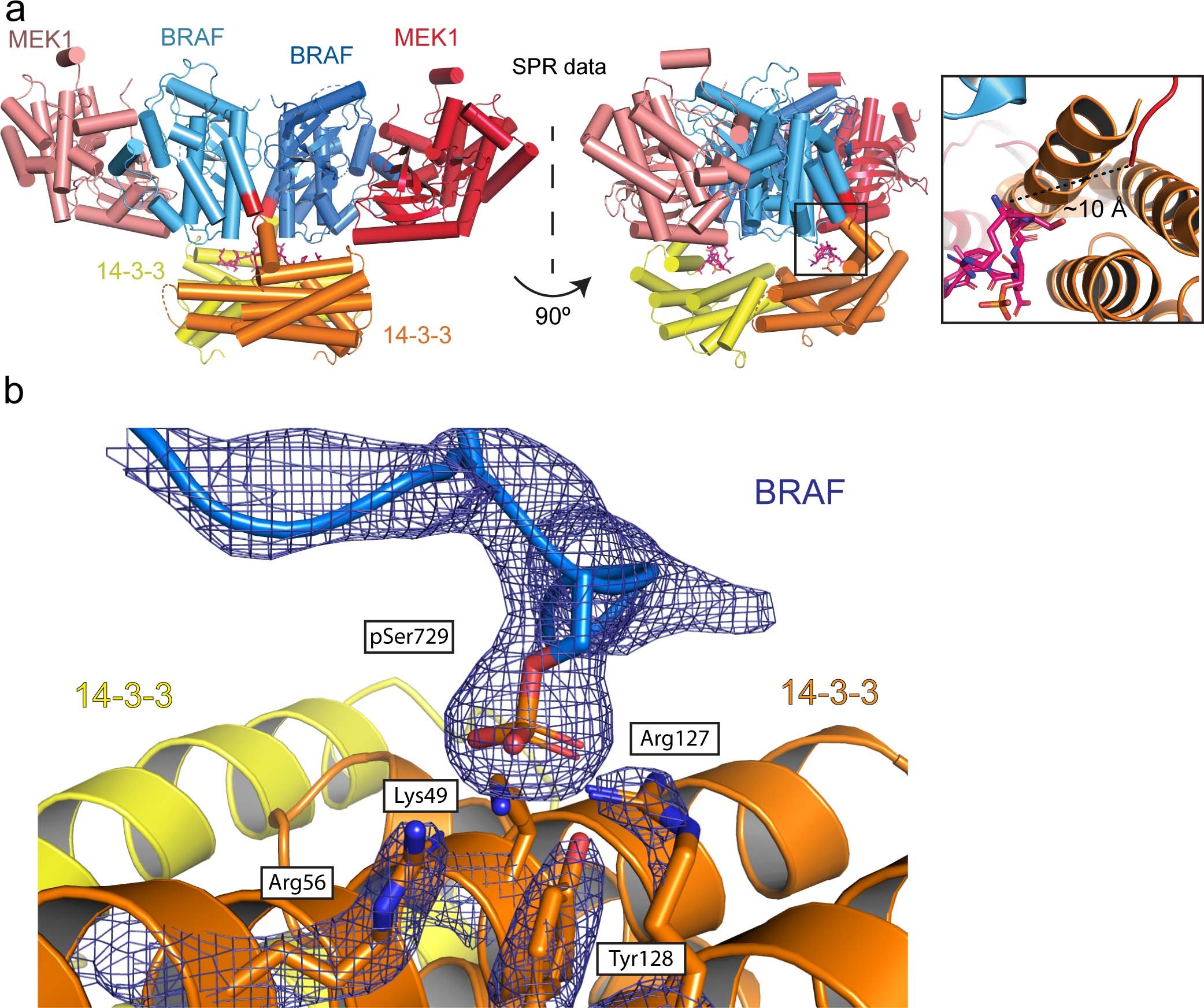 Extended Data Fig. 4