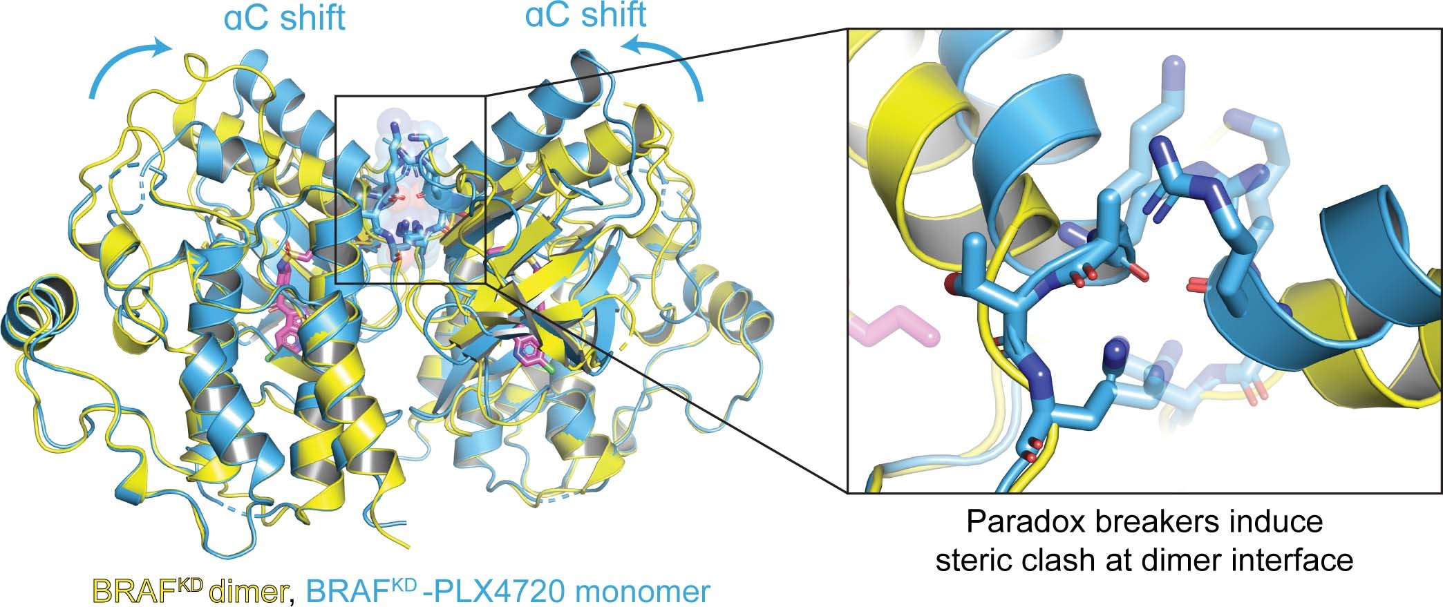 Extended Data Fig. 8