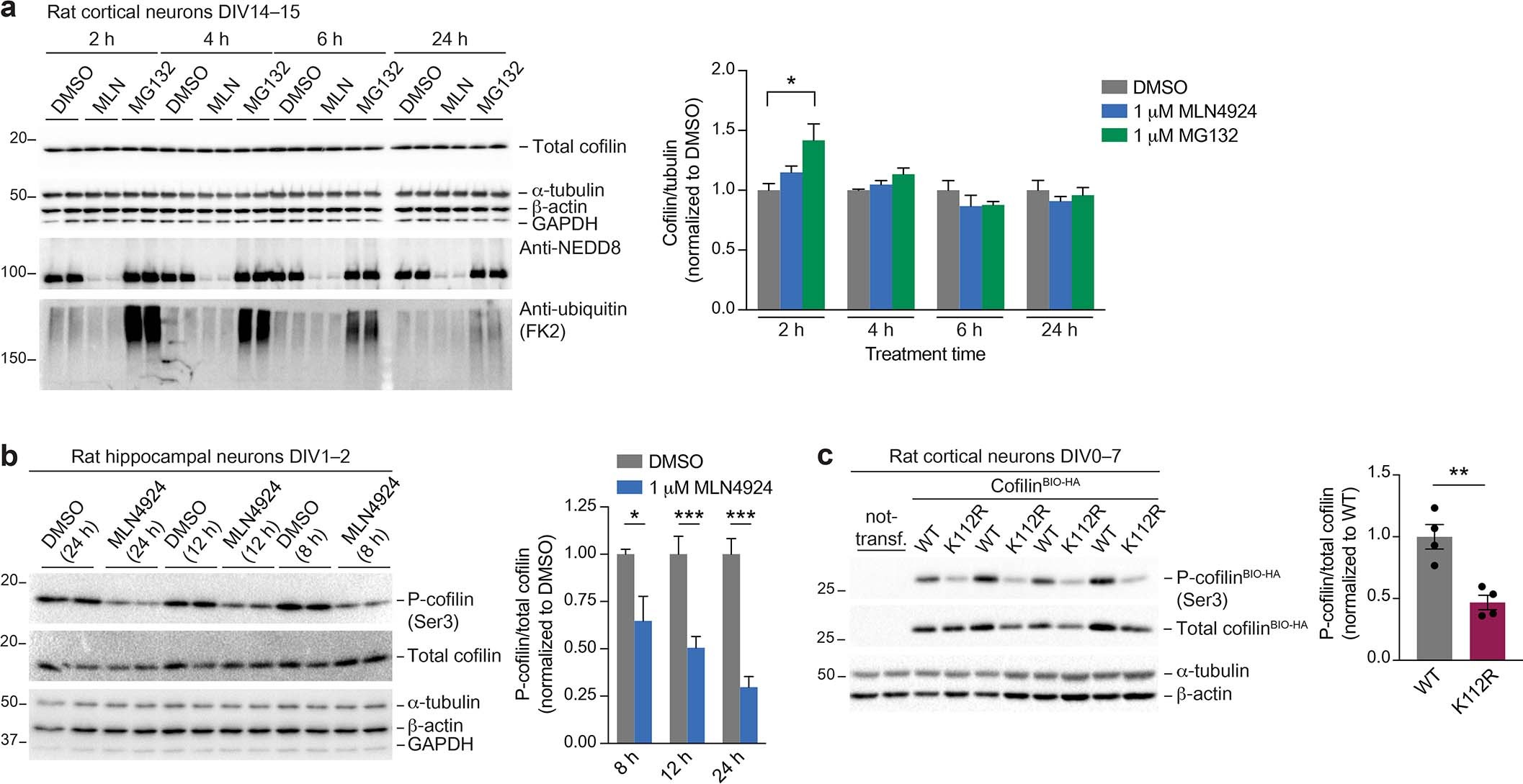 Extended Data Fig. 8