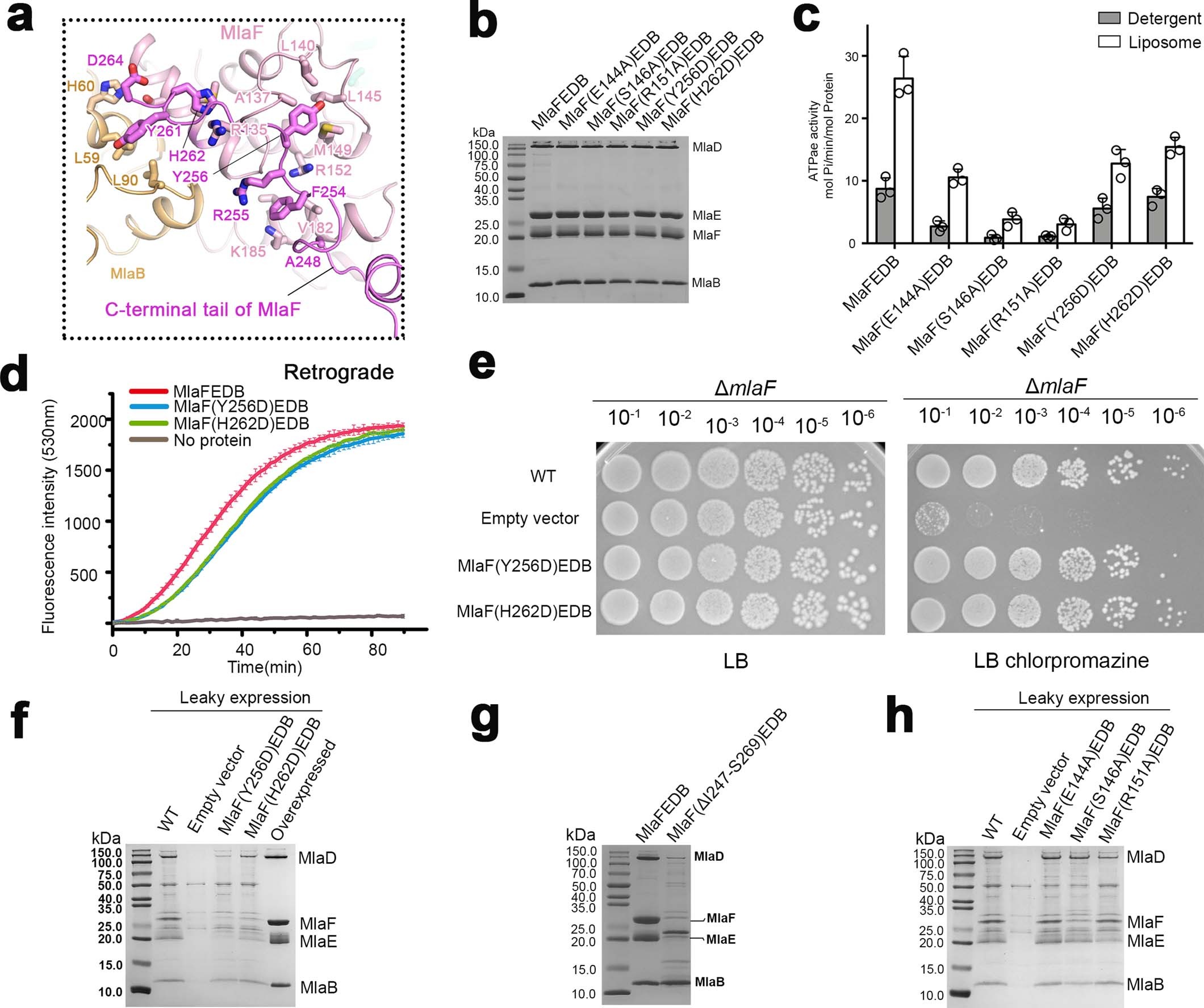 Extended Data Fig. 9