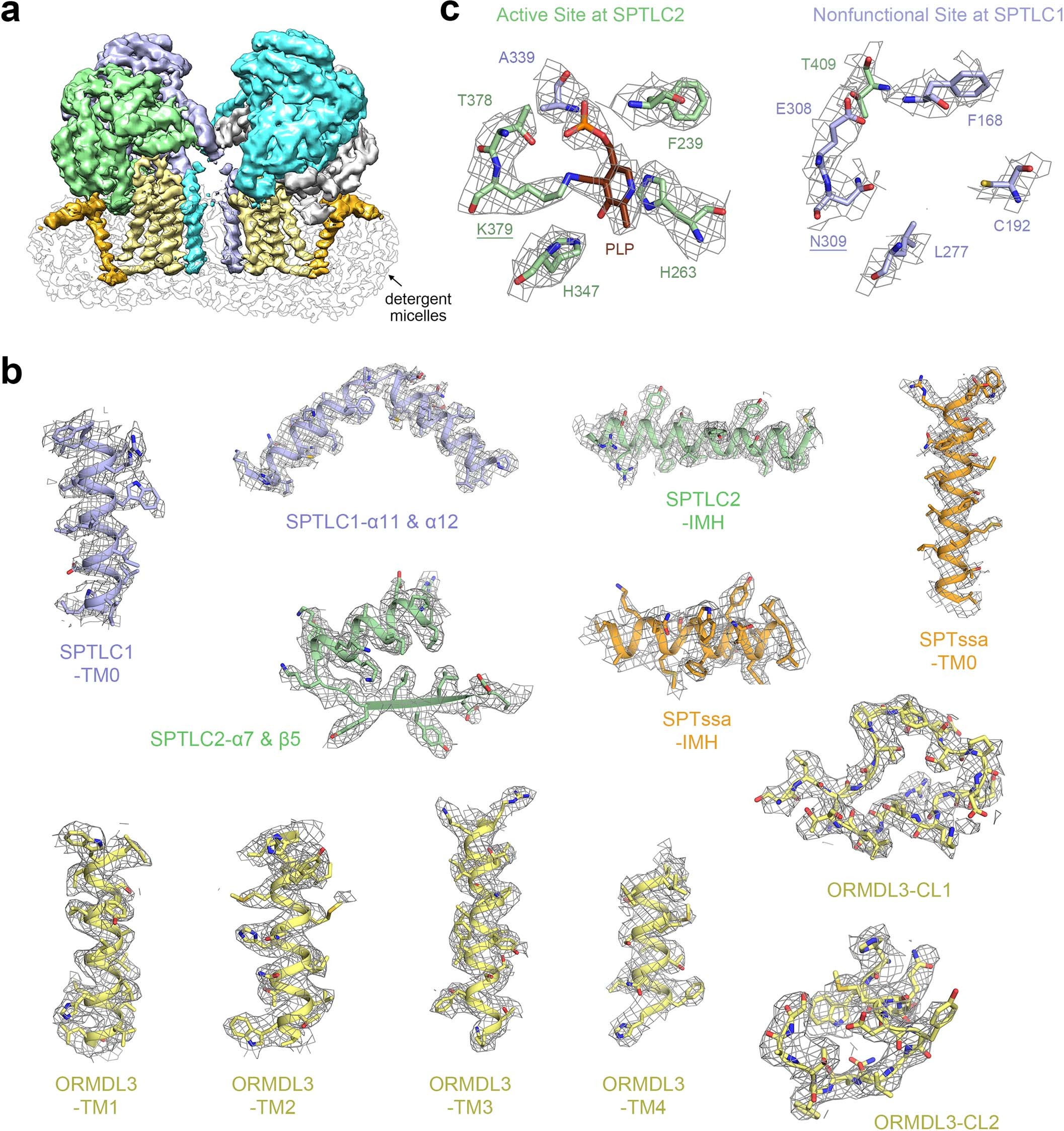 Extended Data Fig. 3