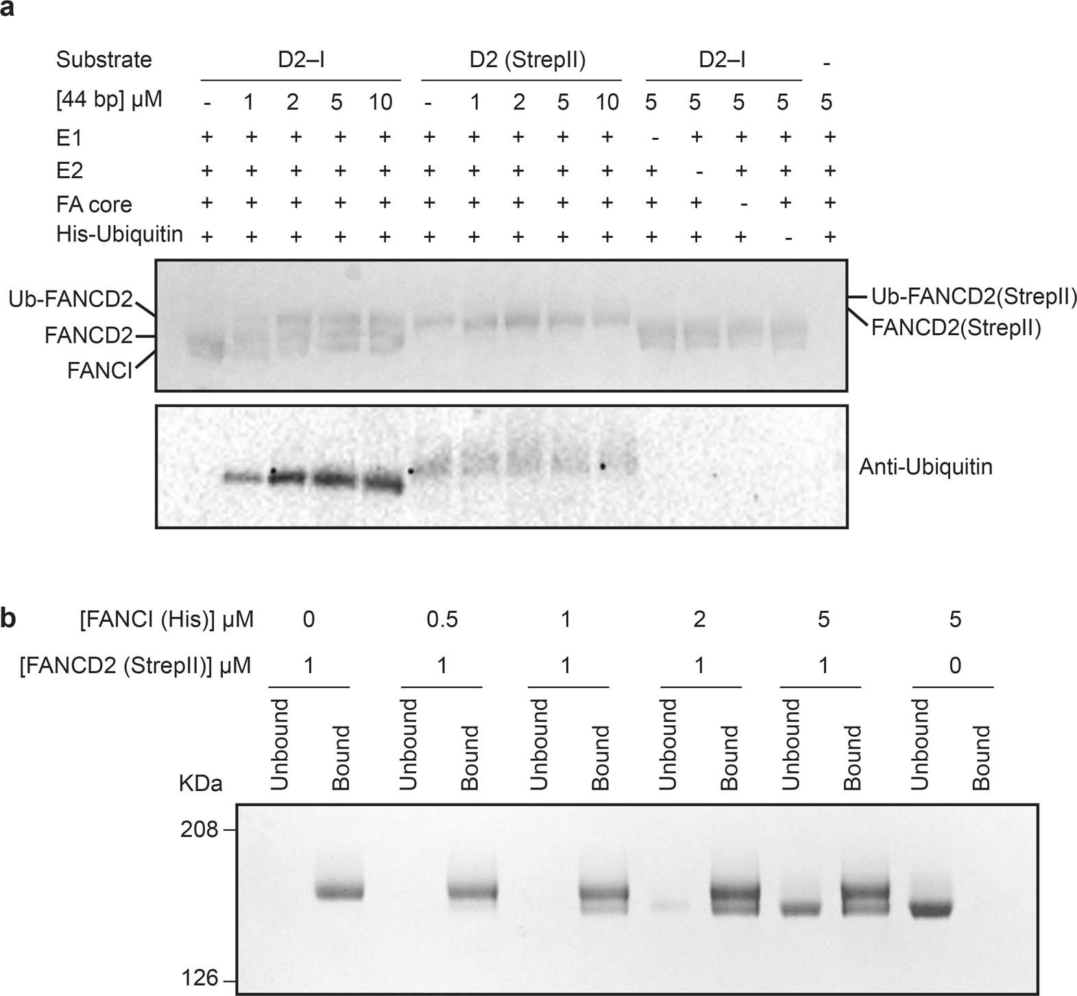 Extended Data Fig. 5