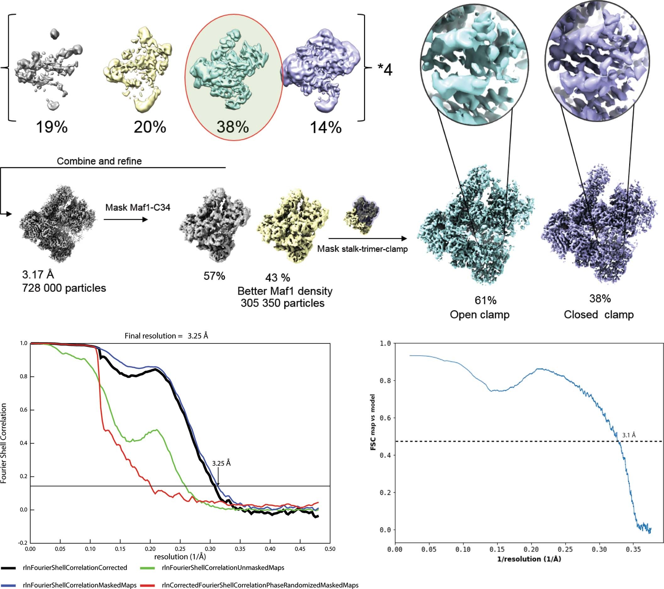 Extended Data Fig. 2: Particle classification strategy and model validation.