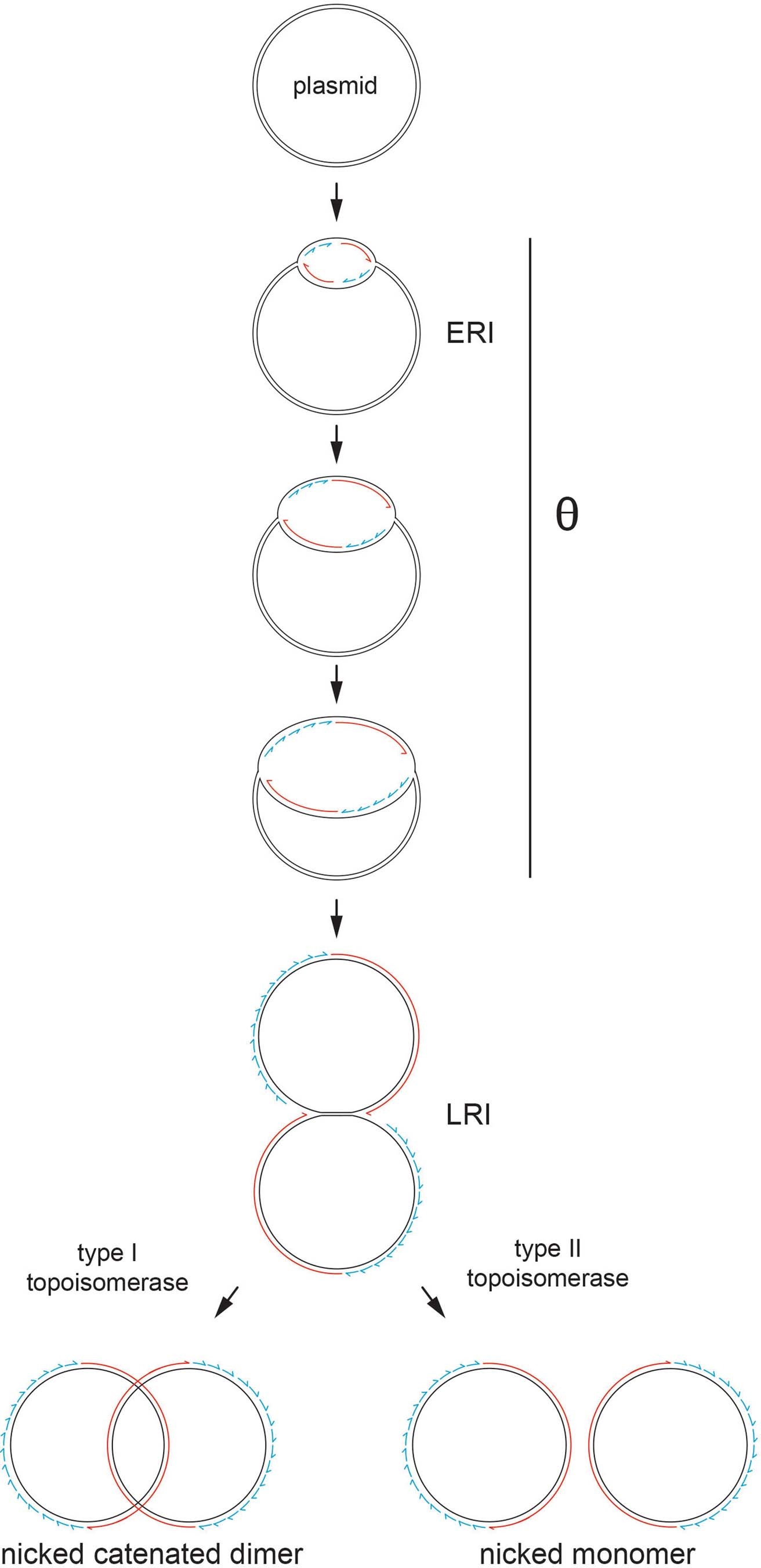 Extended Data Fig. 2