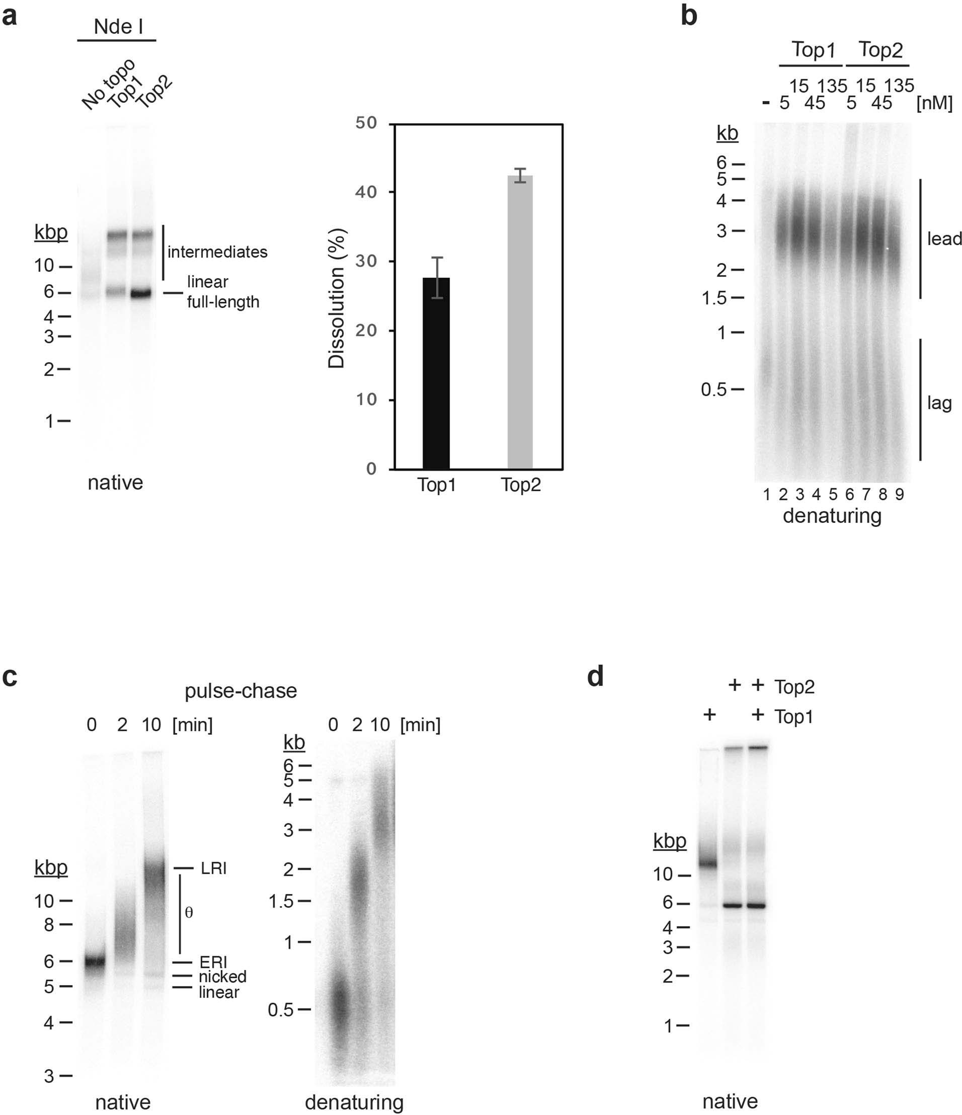 Extended Data Fig. 3