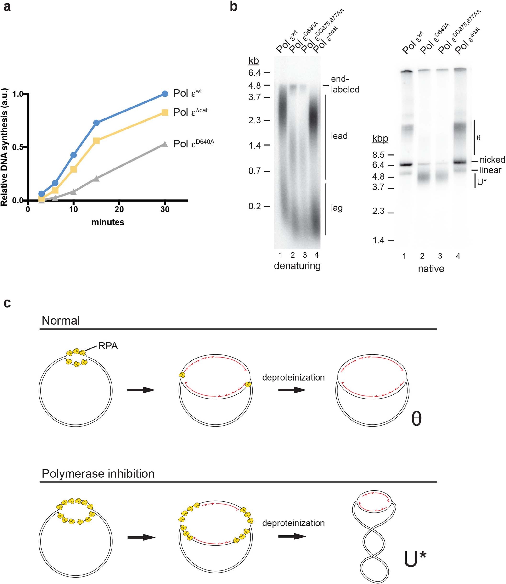 Extended Data Fig. 4