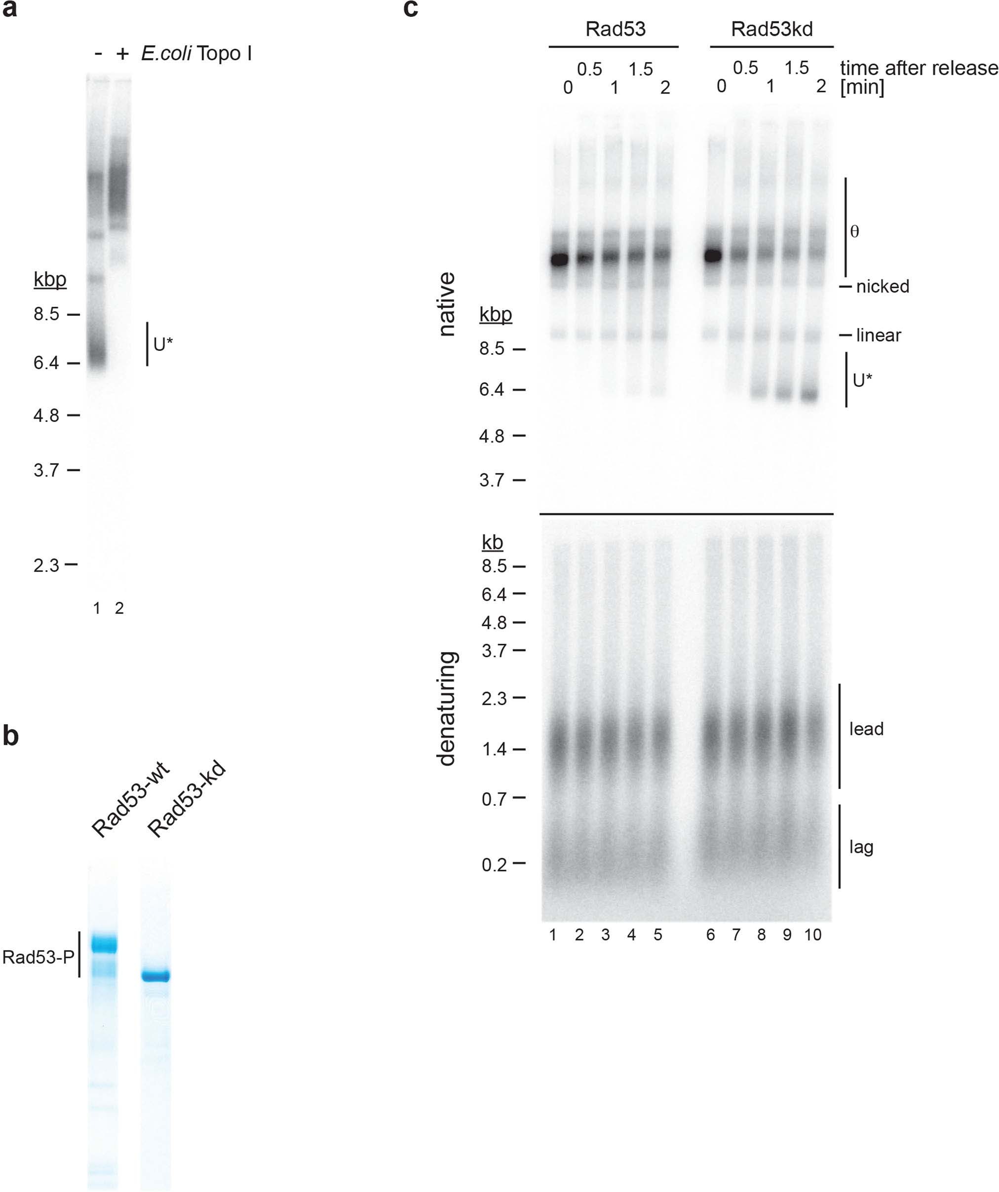 Extended Data Fig. 8
