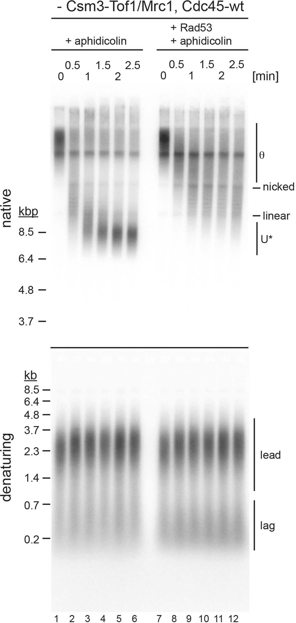 Extended Data Fig. 9