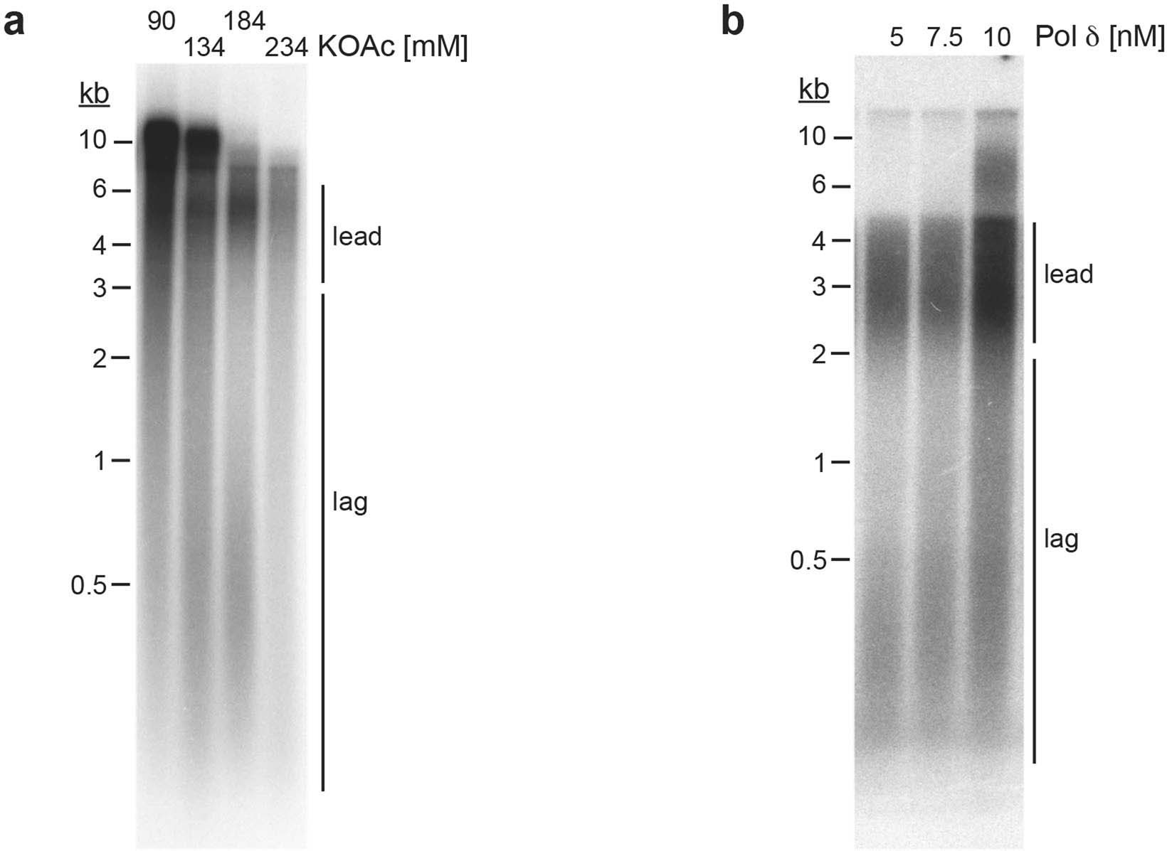 Extended Data Fig. 1