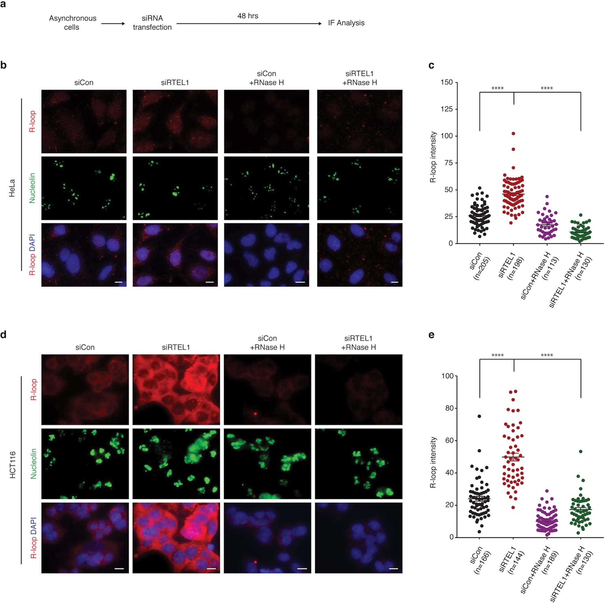 Extended Data Fig. 3