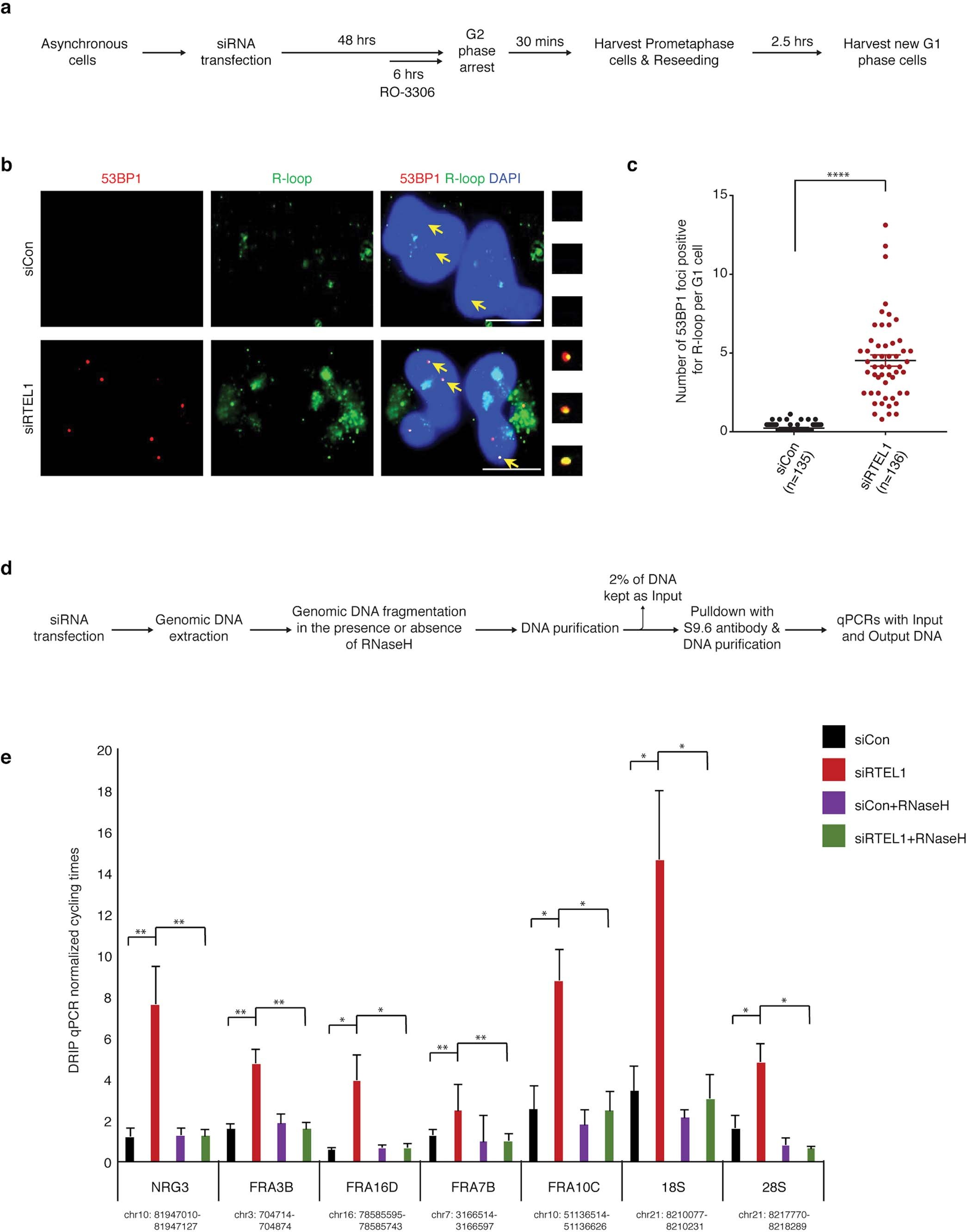 Extended Data Fig. 4