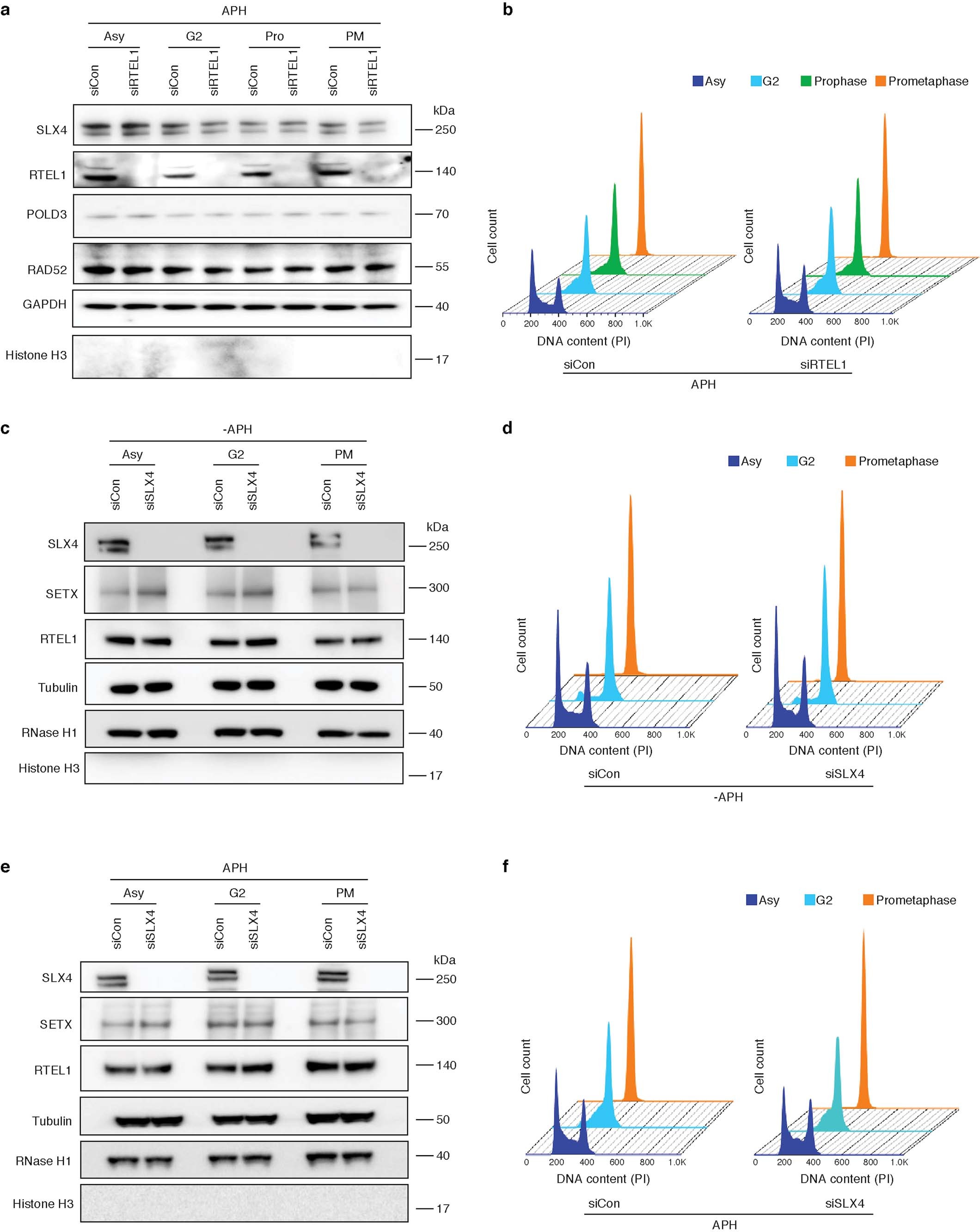 Extended Data Fig. 6