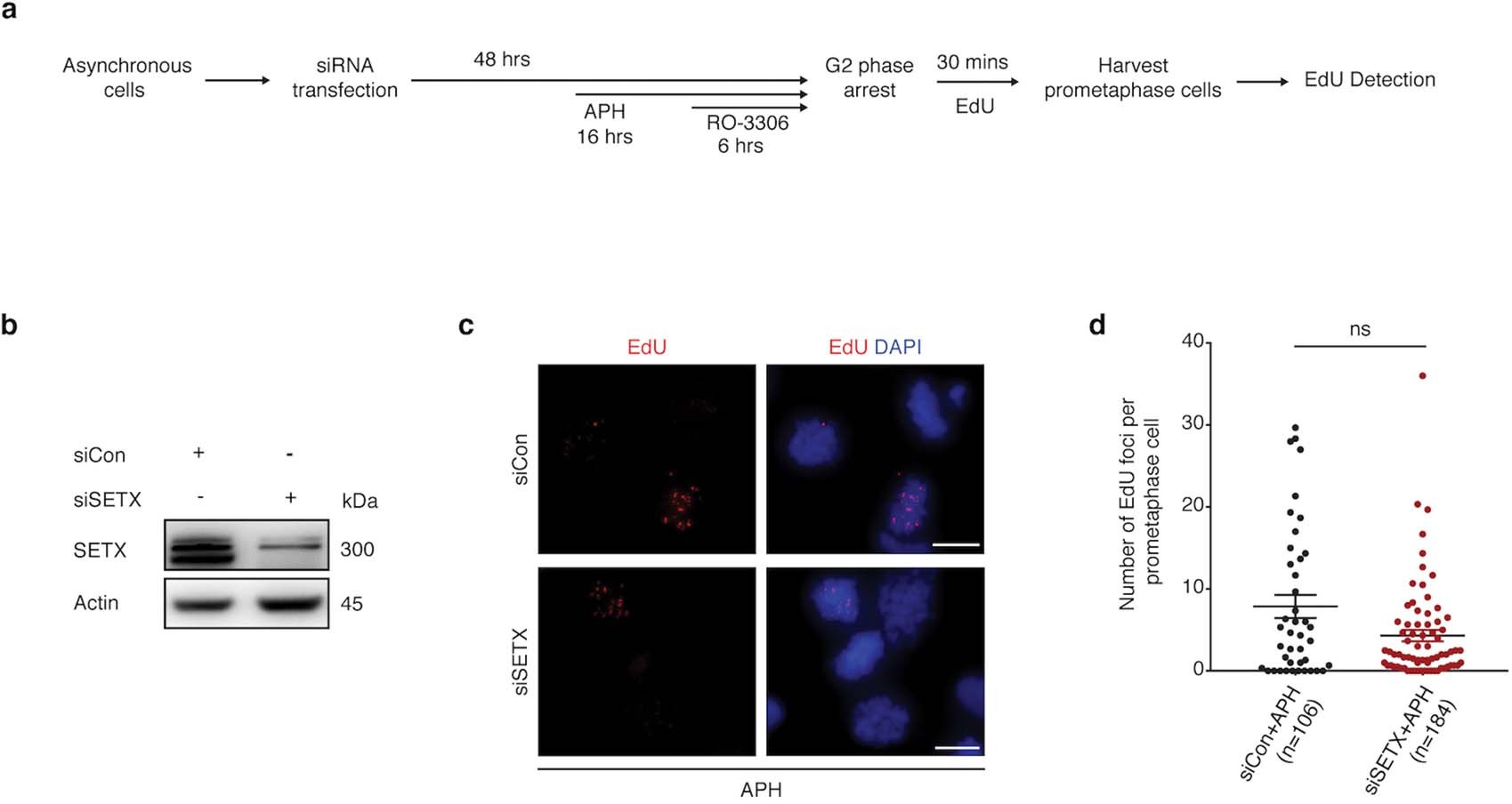 Extended Data Fig. 8