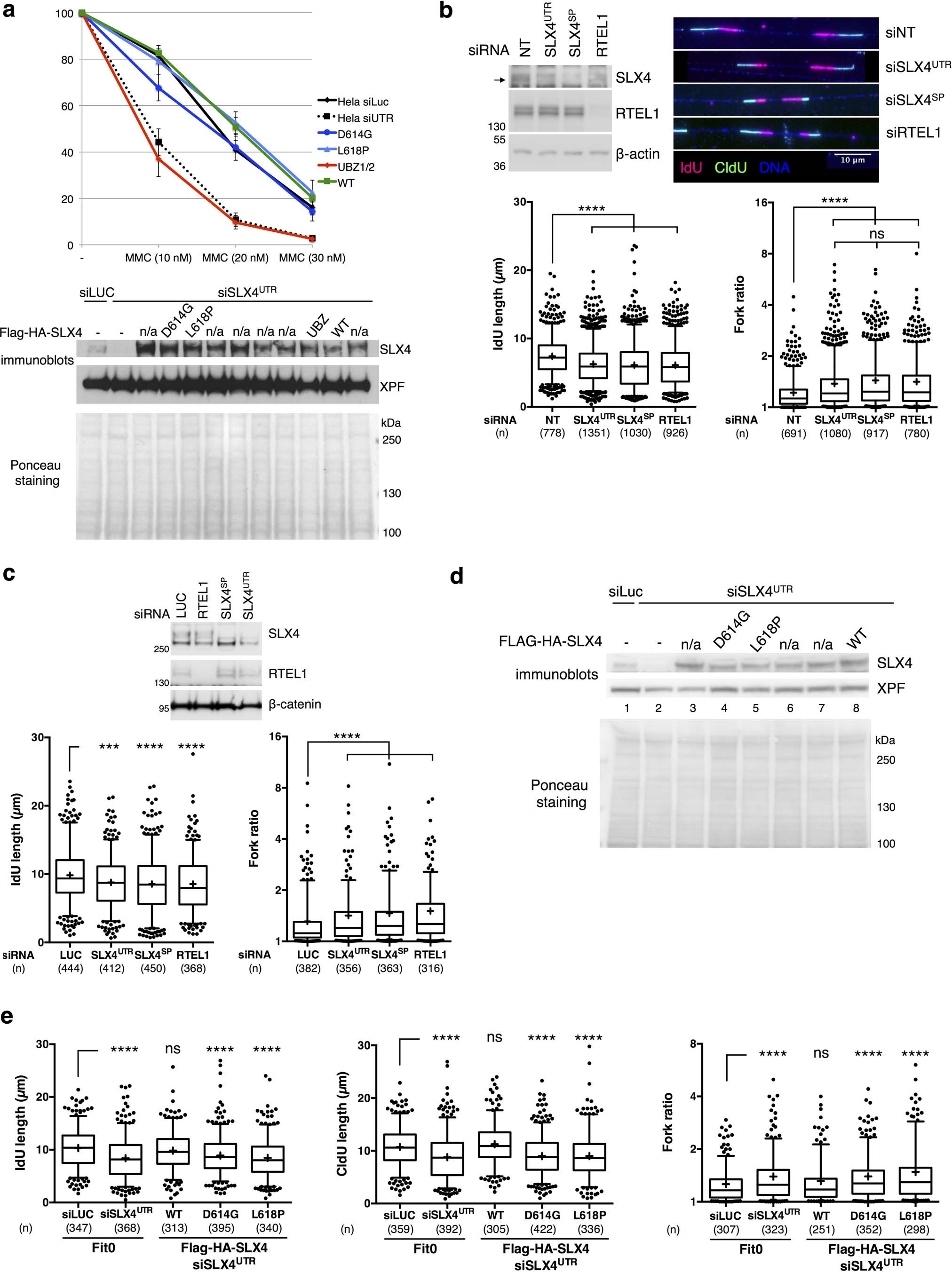 Extended Data Fig. 5: Interaction between SLX4 and RTEL1 is required for proper replication fork progression but not for ICL repair.