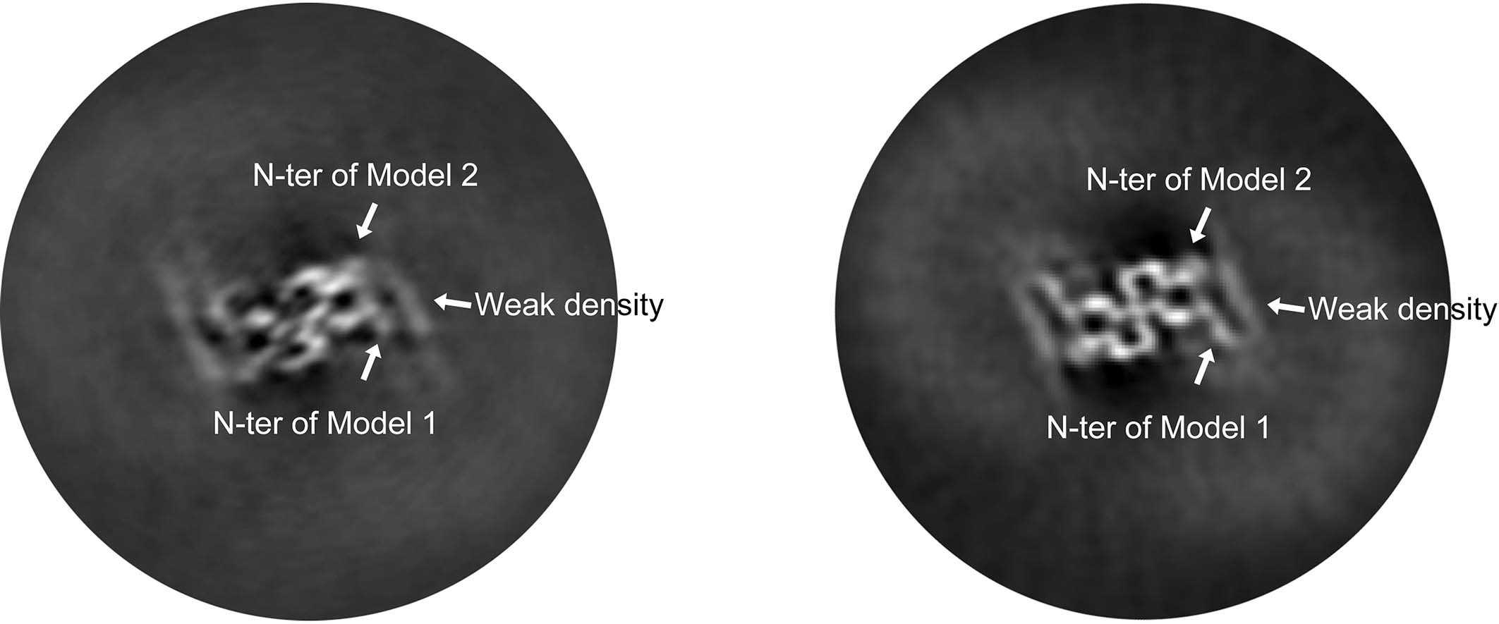 Extended Data Fig. 8
