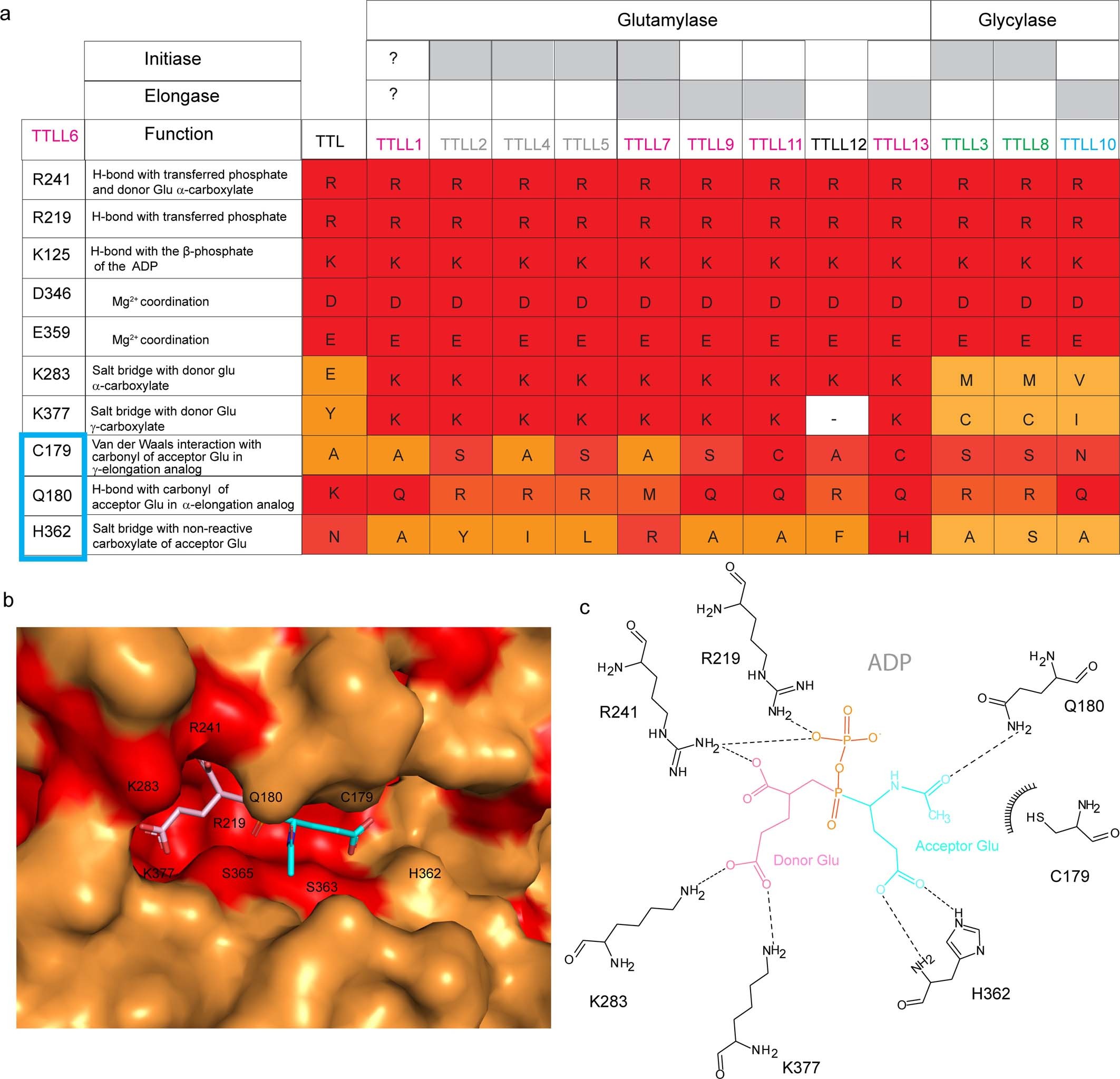 Extended Data Fig. 7
