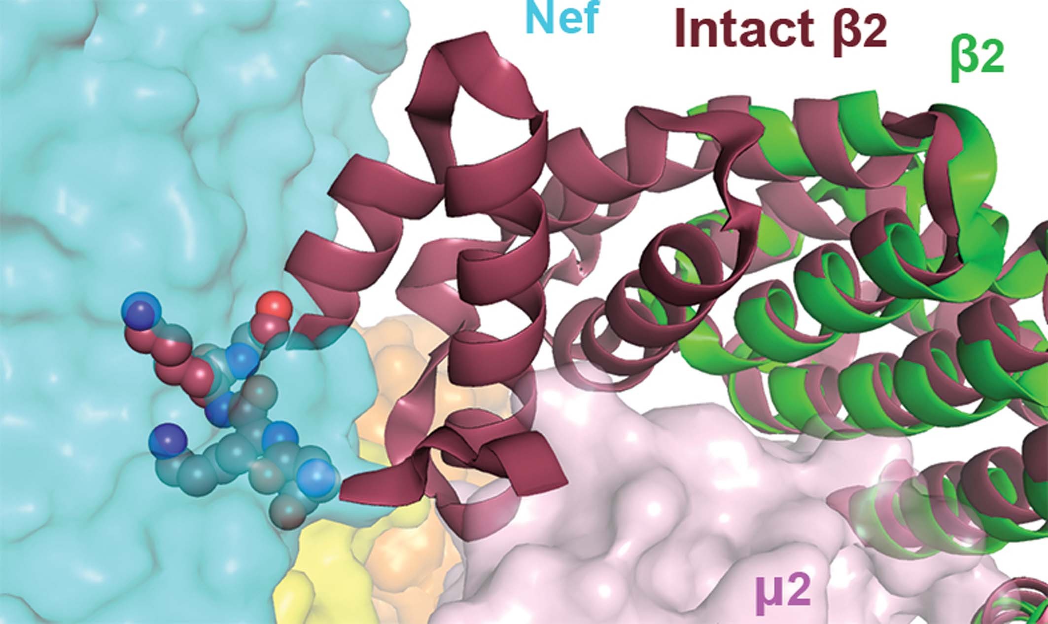 Extended Data Fig. 2