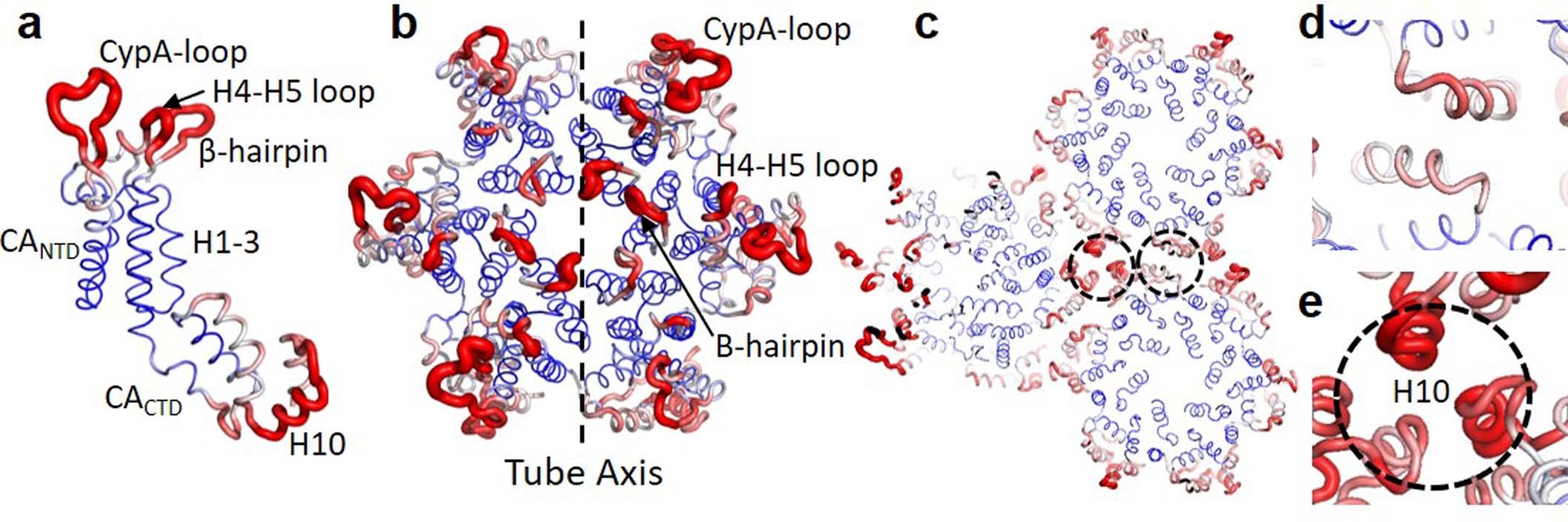 Extended Data Fig. 5
