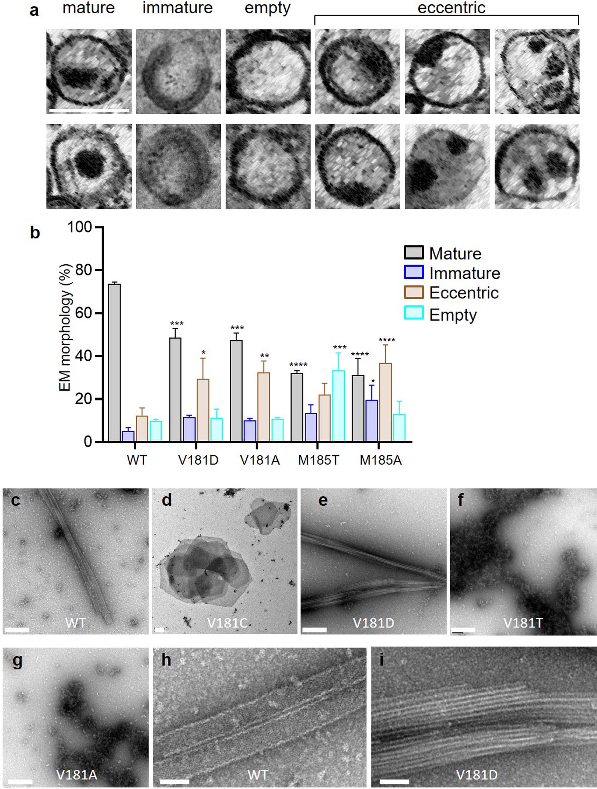 Extended Data Fig. 8