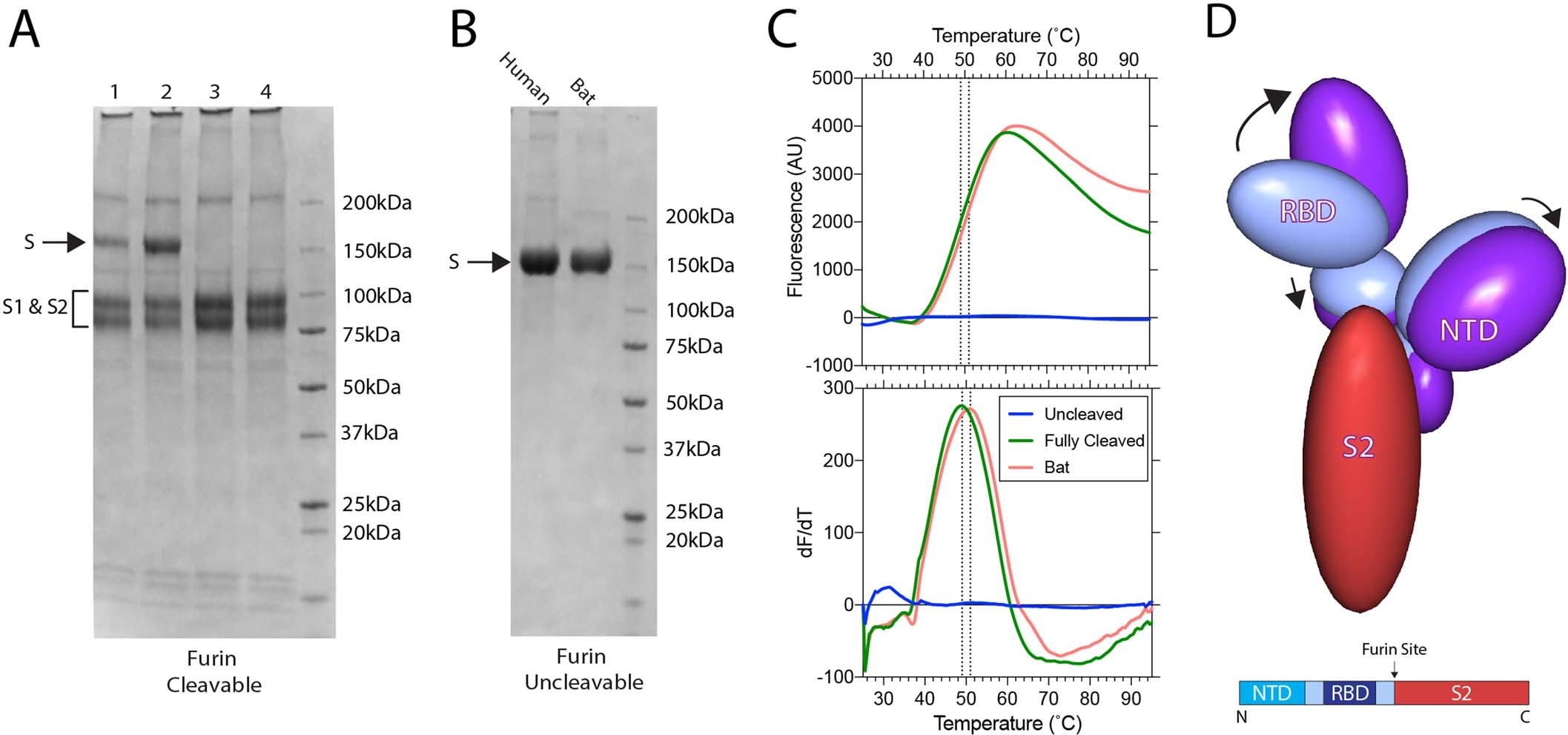 Extended Data Fig. 1