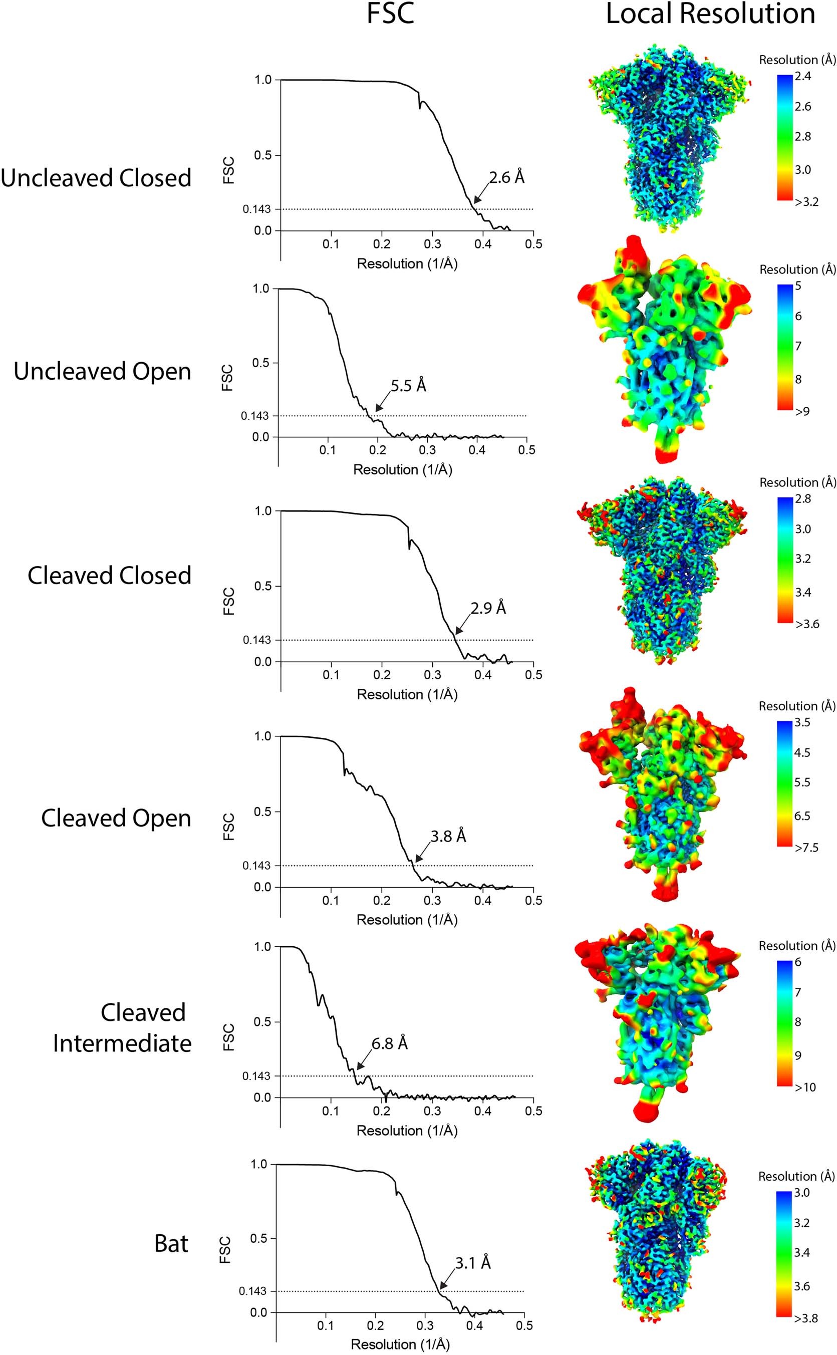 Extended Data Fig. 5
