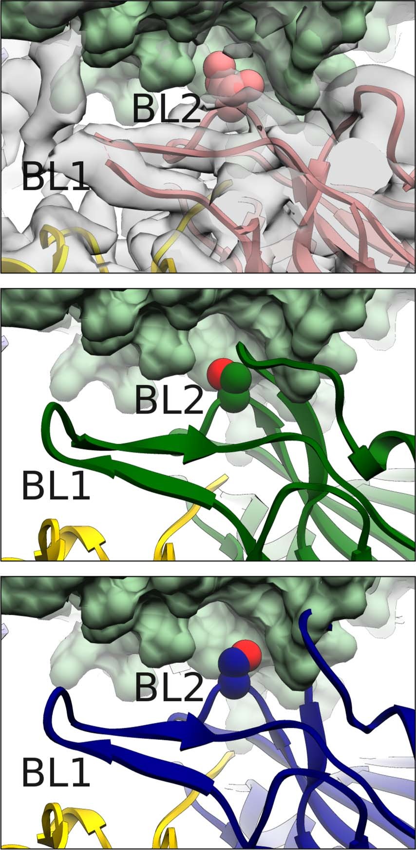 Extended Data Fig. 7