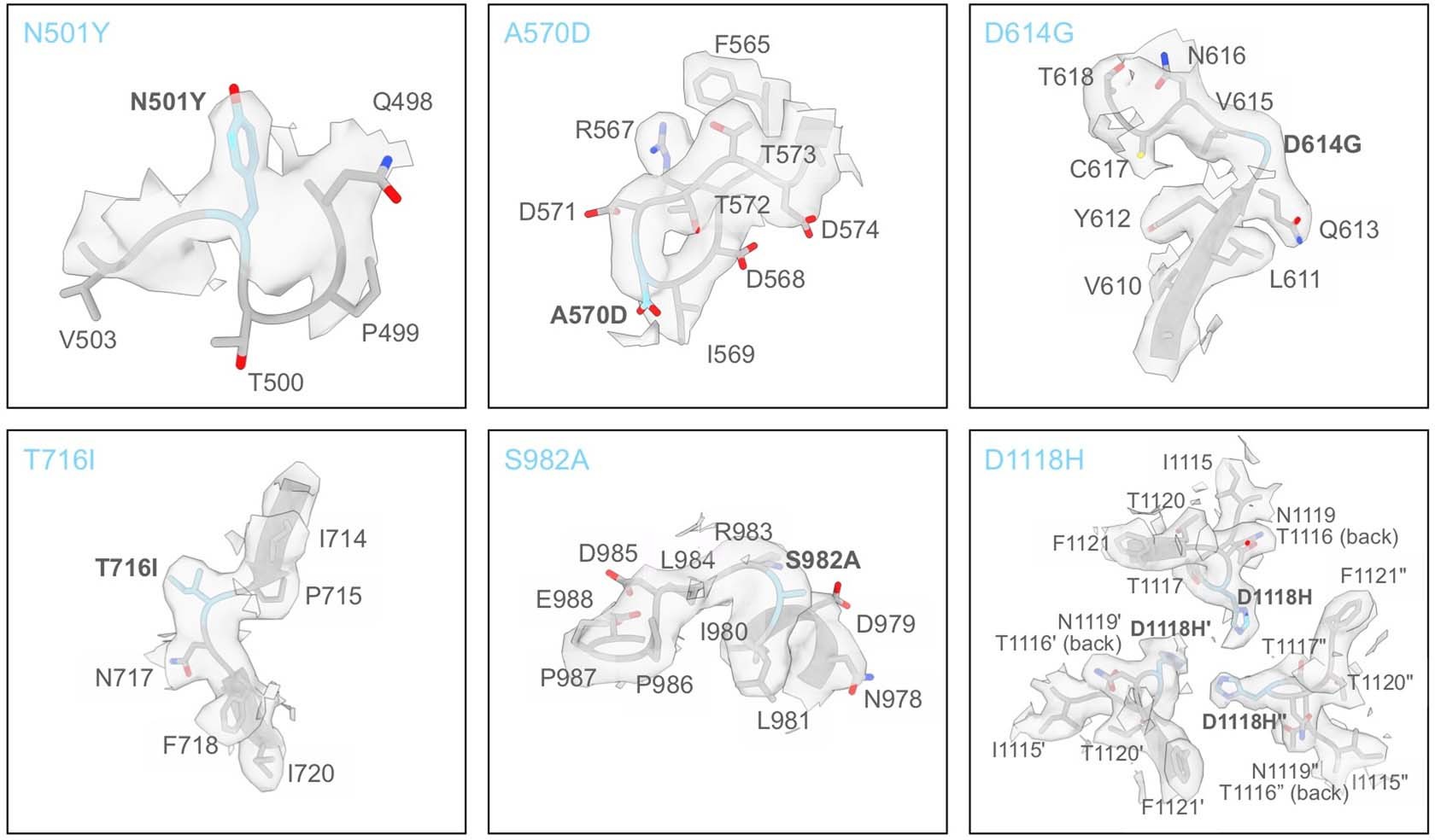 Extended Data Fig. 2