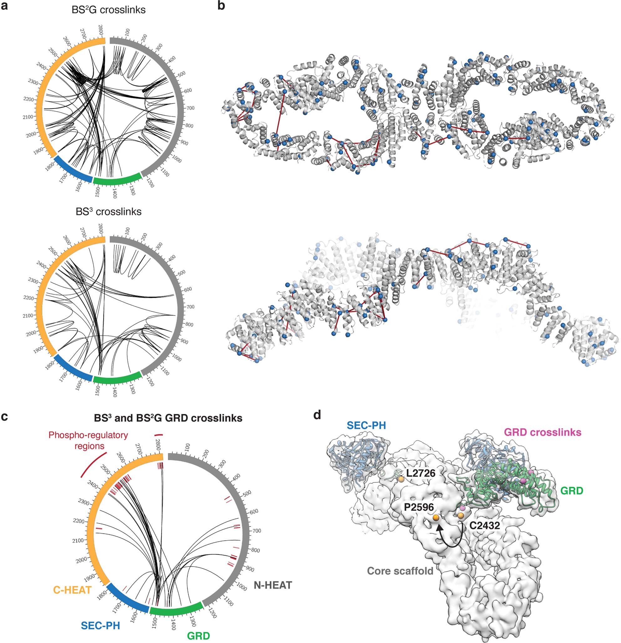 Extended Data Fig. 6: Cross-linking mass spectrometry of NF1.