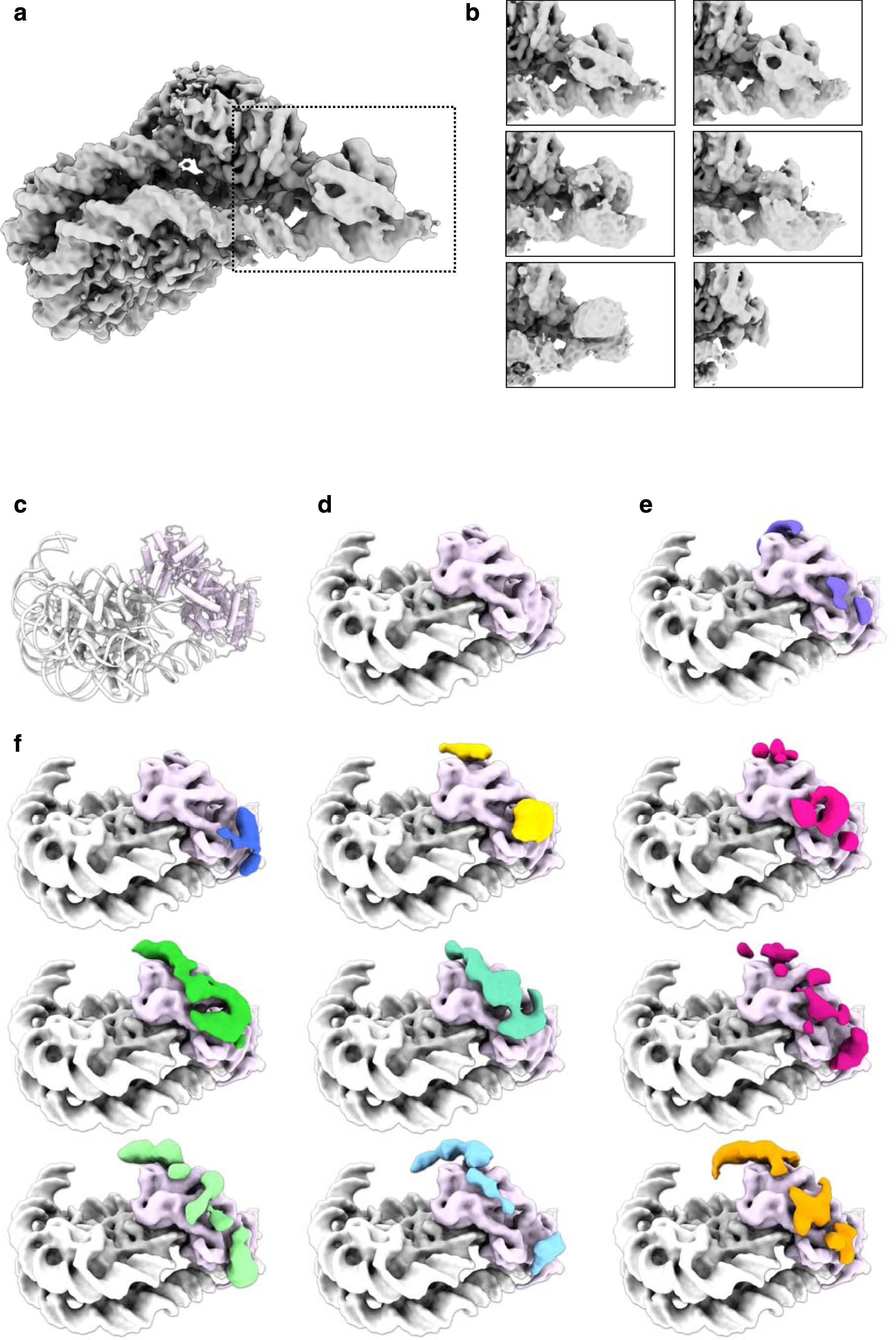 Extended Data Fig. 8