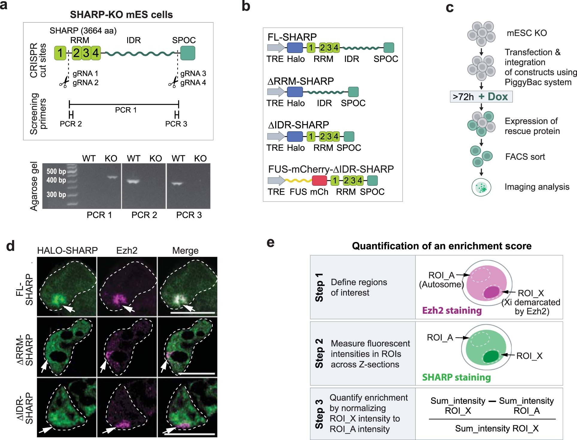 Extended Data Fig. 3