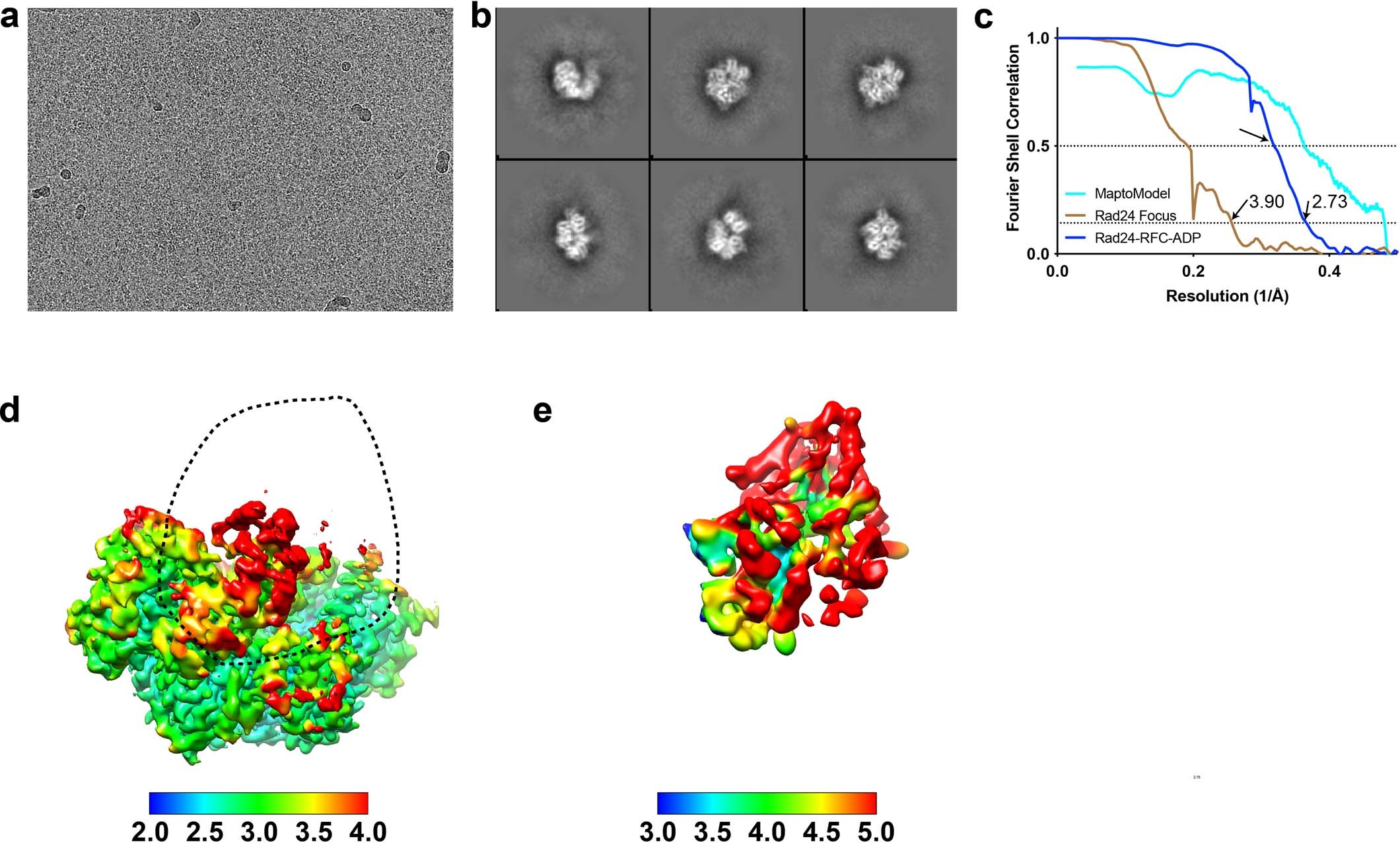 Extended Data Fig. 6