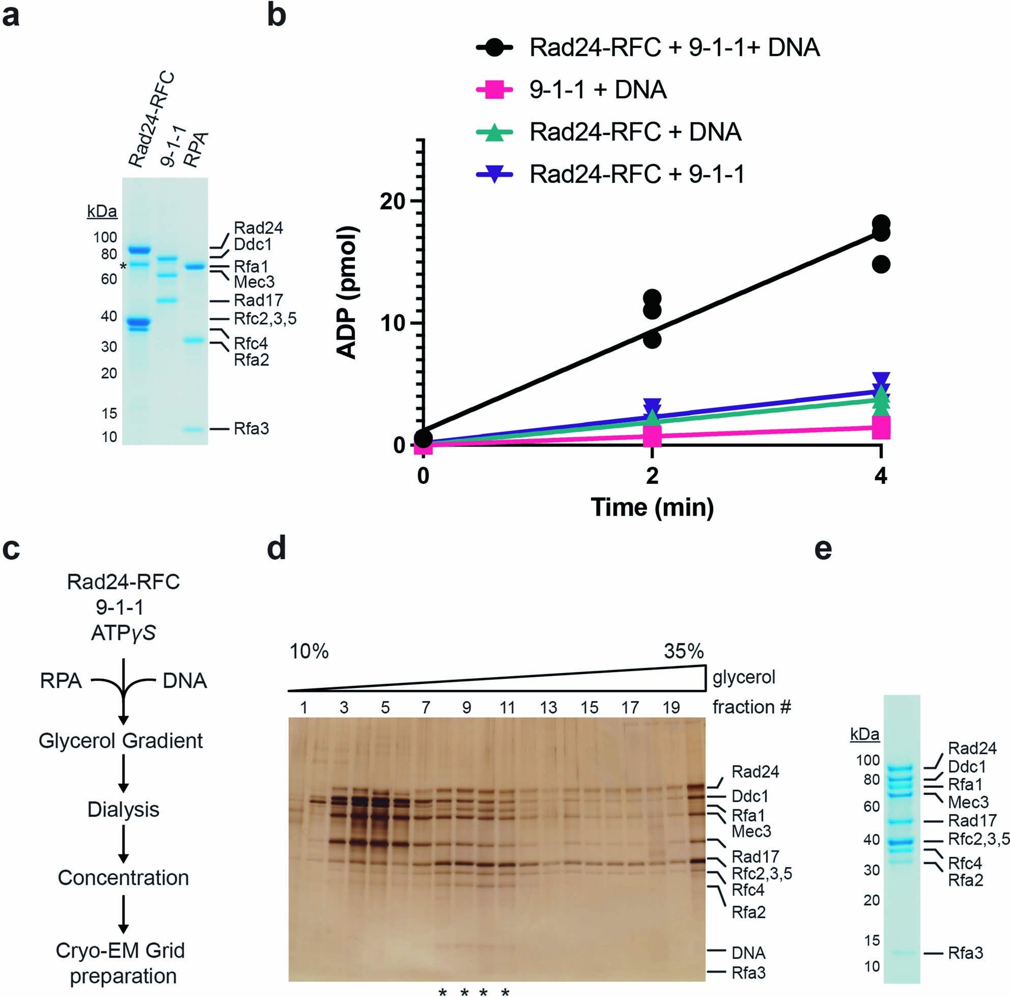 Extended Data Fig. 1