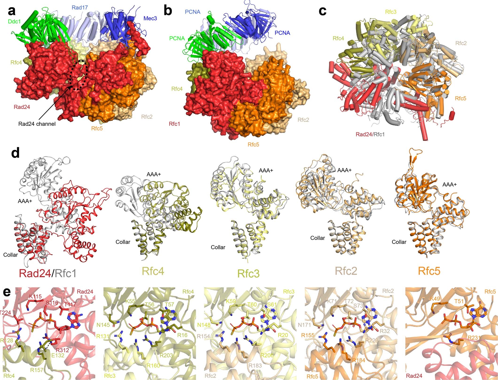 Extended Data Fig. 3