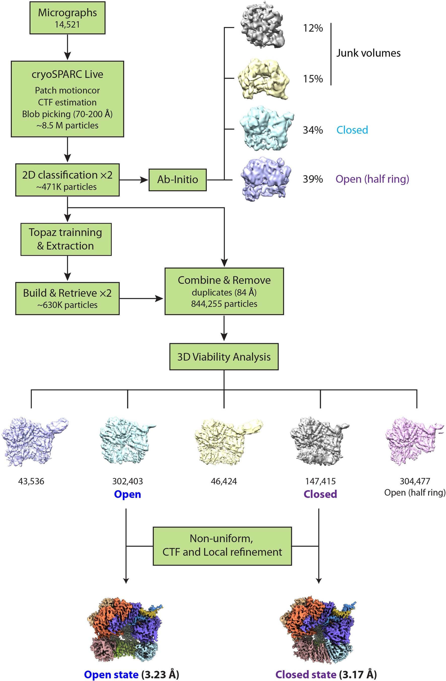 Extended Data Fig. 2